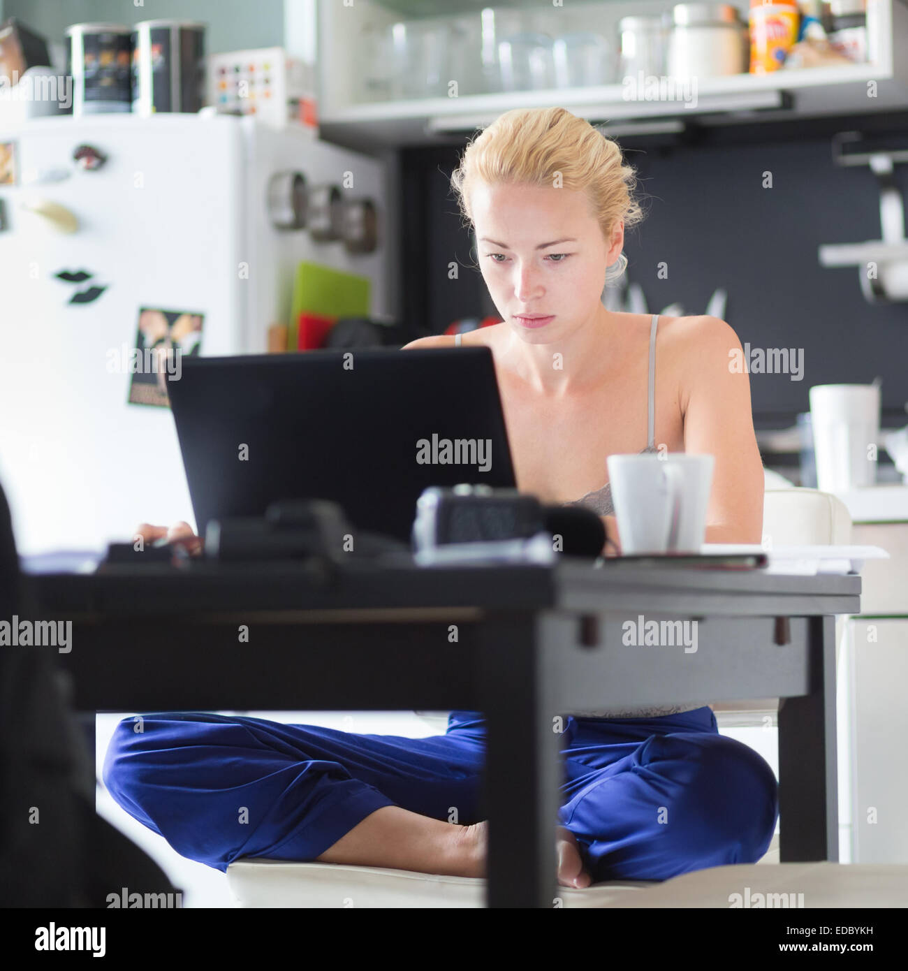 Weibliche Freiberufler arbeiten von zu Hause aus. Stockfoto