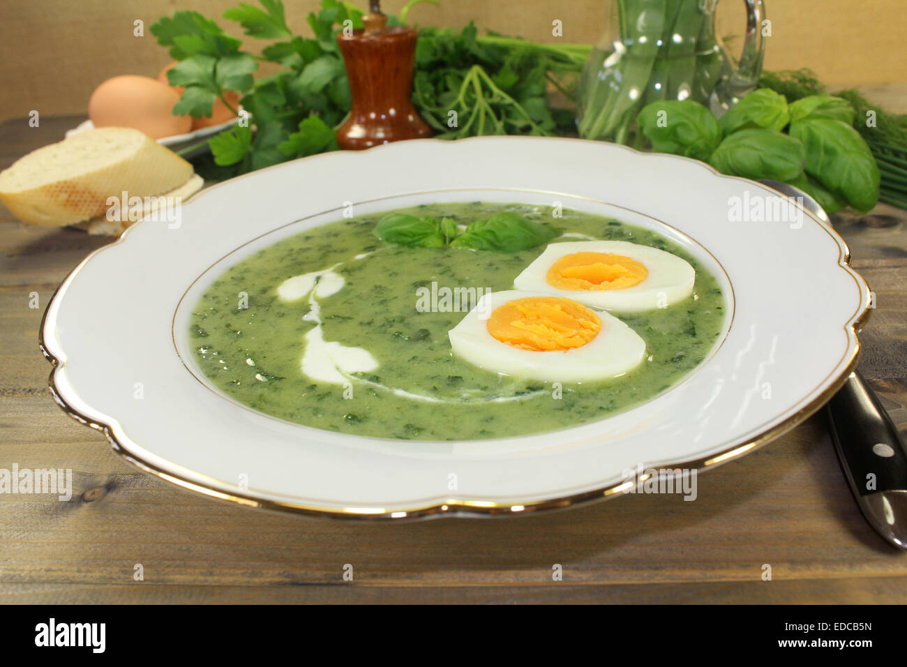 grüne Kraut-Suppe mit gekochten Eiern Stockfoto