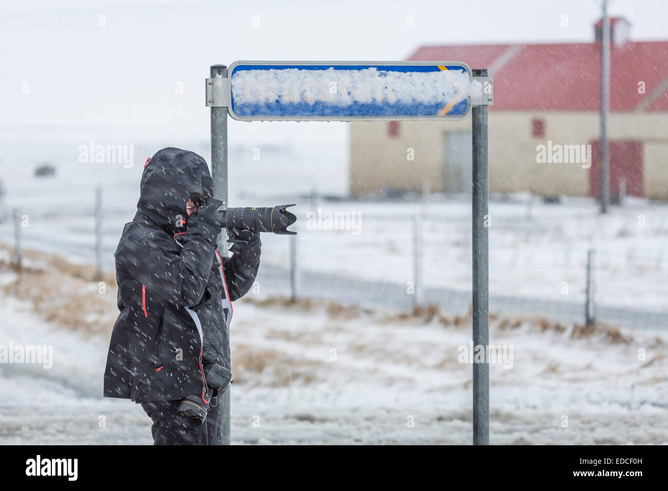 Frau fotografieren aus einer Route, die Ring Road, South Coast, Island. Stockfoto