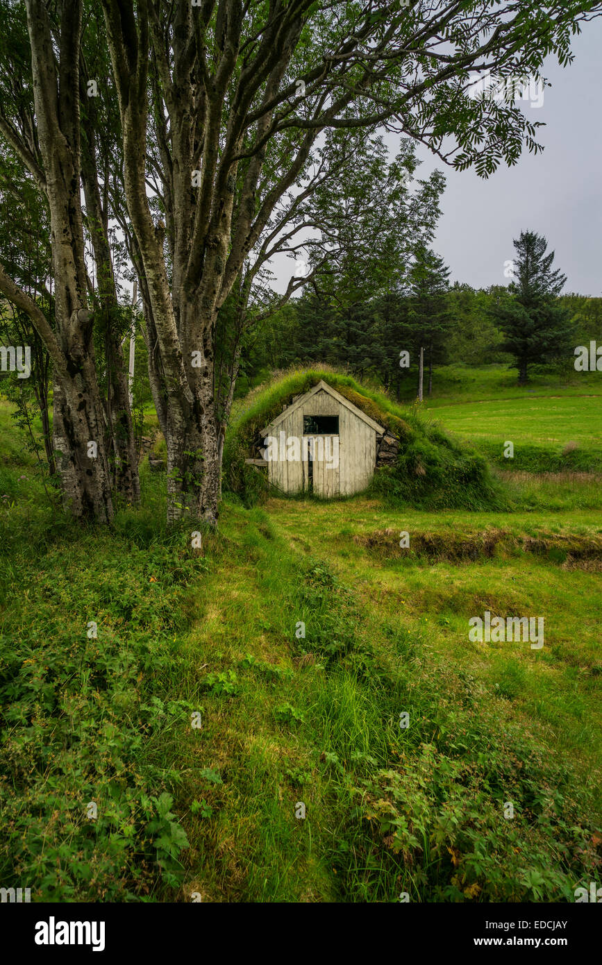 Rasen-überdachte kleine Bauernhaus, South Coast, Island Stockfoto