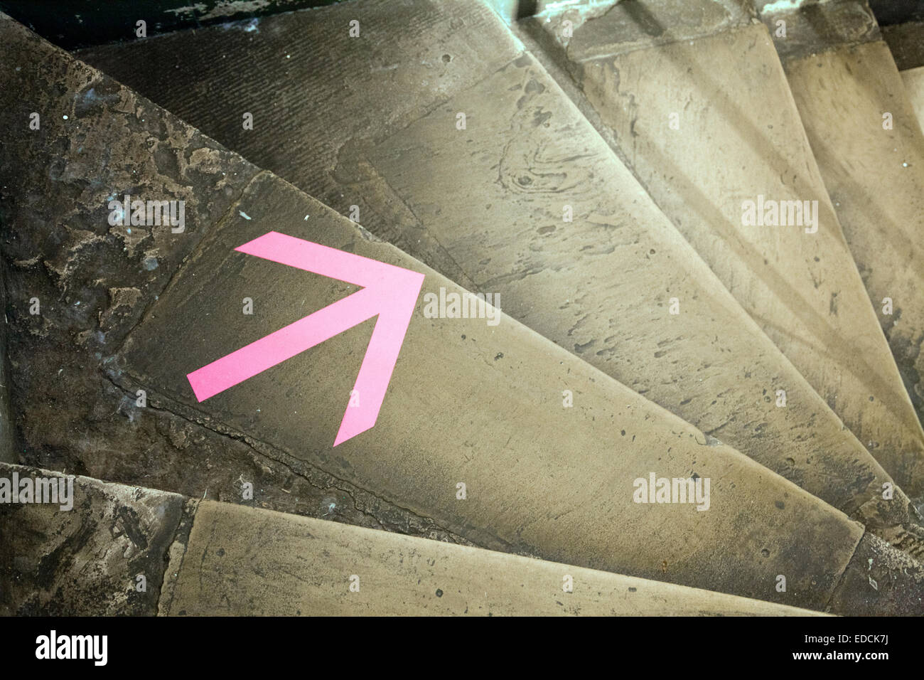 Rosa auf Schritte Weg unten zeigenden Pfeil Stockfoto
