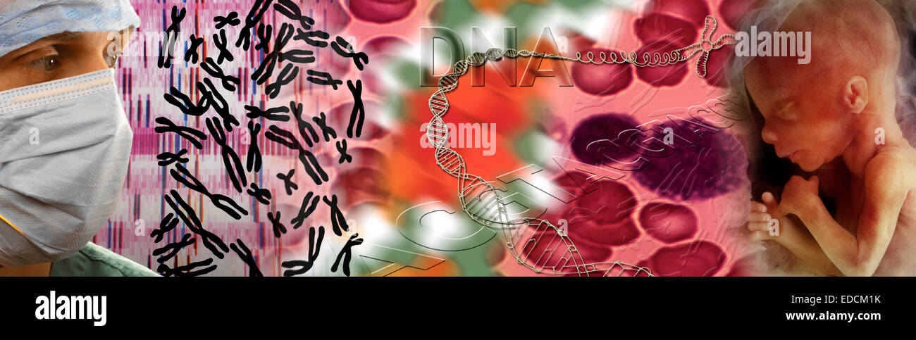 Genetik - DNA, Chromosomen, DNA-Mapping und eines menschlichen Fötus Stockfoto