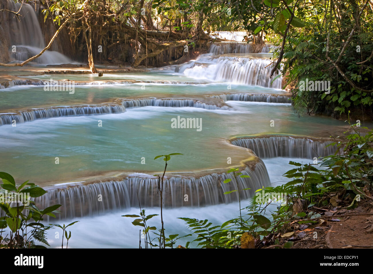 Travertin-Kaskaden und türkis blauen Pools von den Kuang Si Wasserfällen / Kuang Xi / Tat Kuang Si Wasserfälle in der Nähe von Luang Prabang, Laos Stockfoto