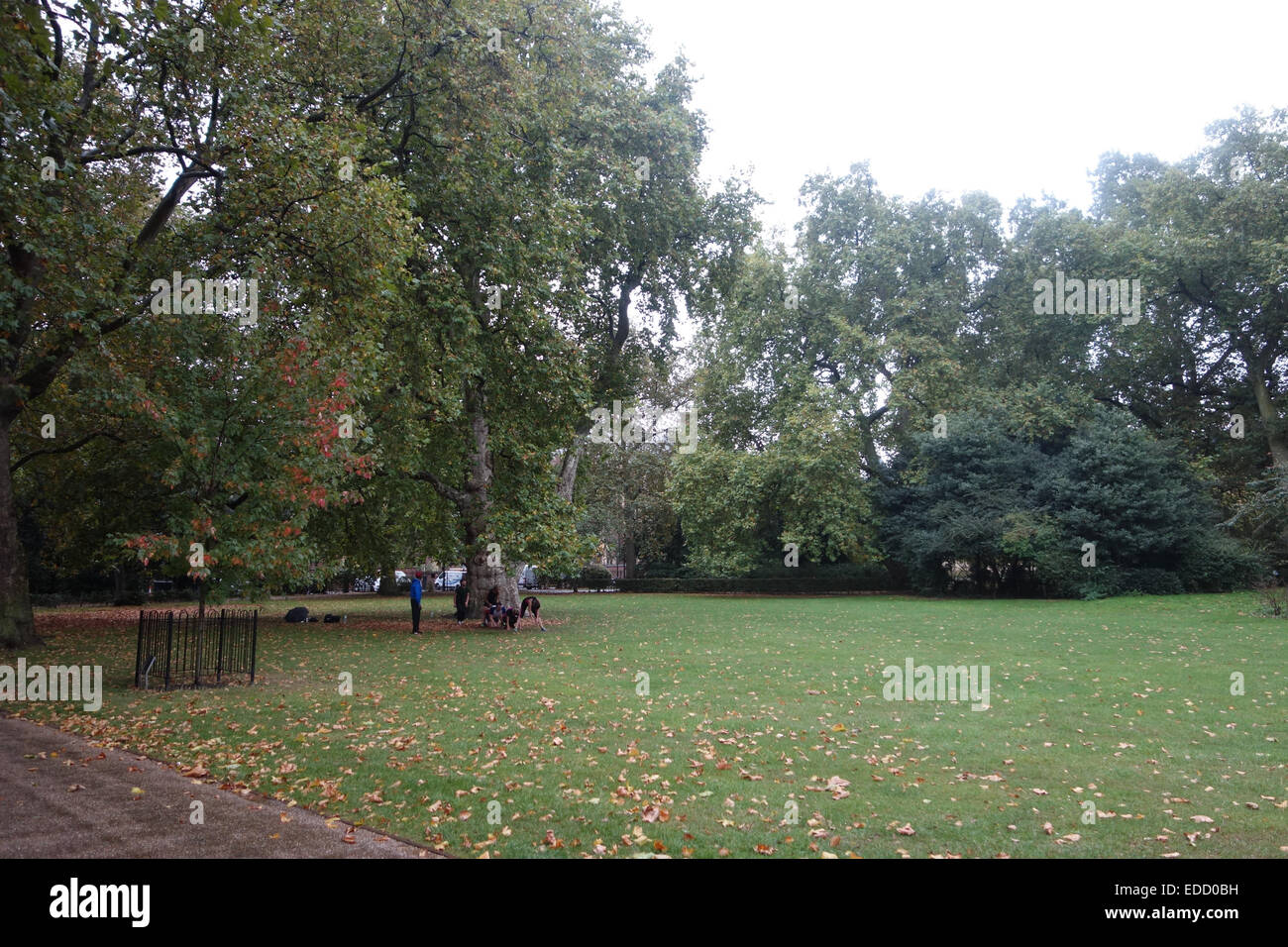 In London gibt es mehrere "rechtliche Quadrate", vielleicht der bekannteste ist Grays Inn, das gehört zu den vier Inns Of Court Stockfoto