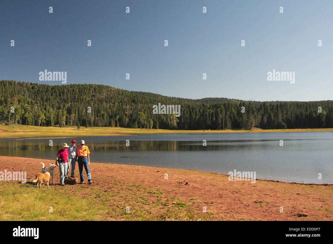 Drei Freunde und Hunde bei Gregorio See in Jemez Bergen von New Mexico - USA Stockfoto