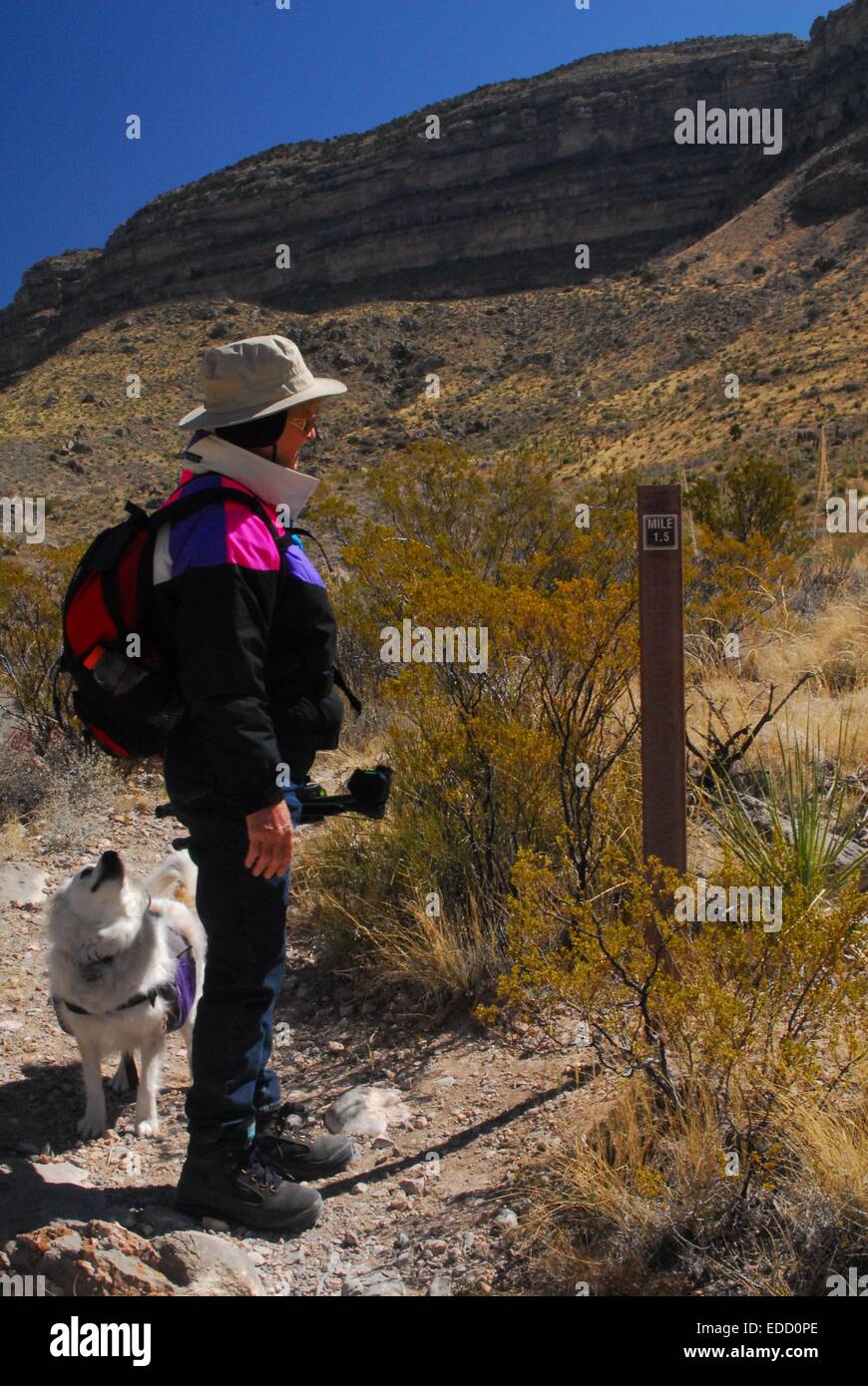 Meine ältere Schwester und ihr Hund bei der 1,5 Meile Strecke in Oliver Lee State Park New Mexiko - USA Stockfoto