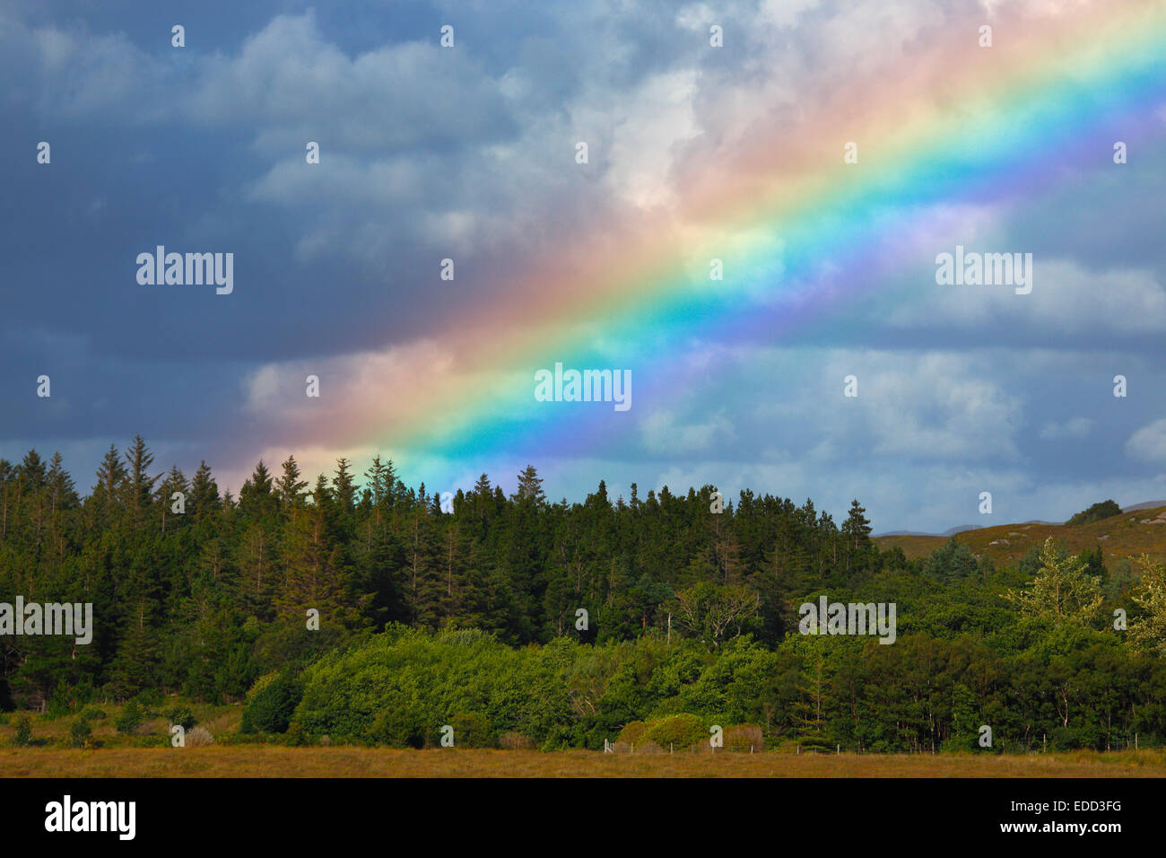 Regenbogen über den Wald in der Glenveagh National Park, Donegal, Irland Stockfoto