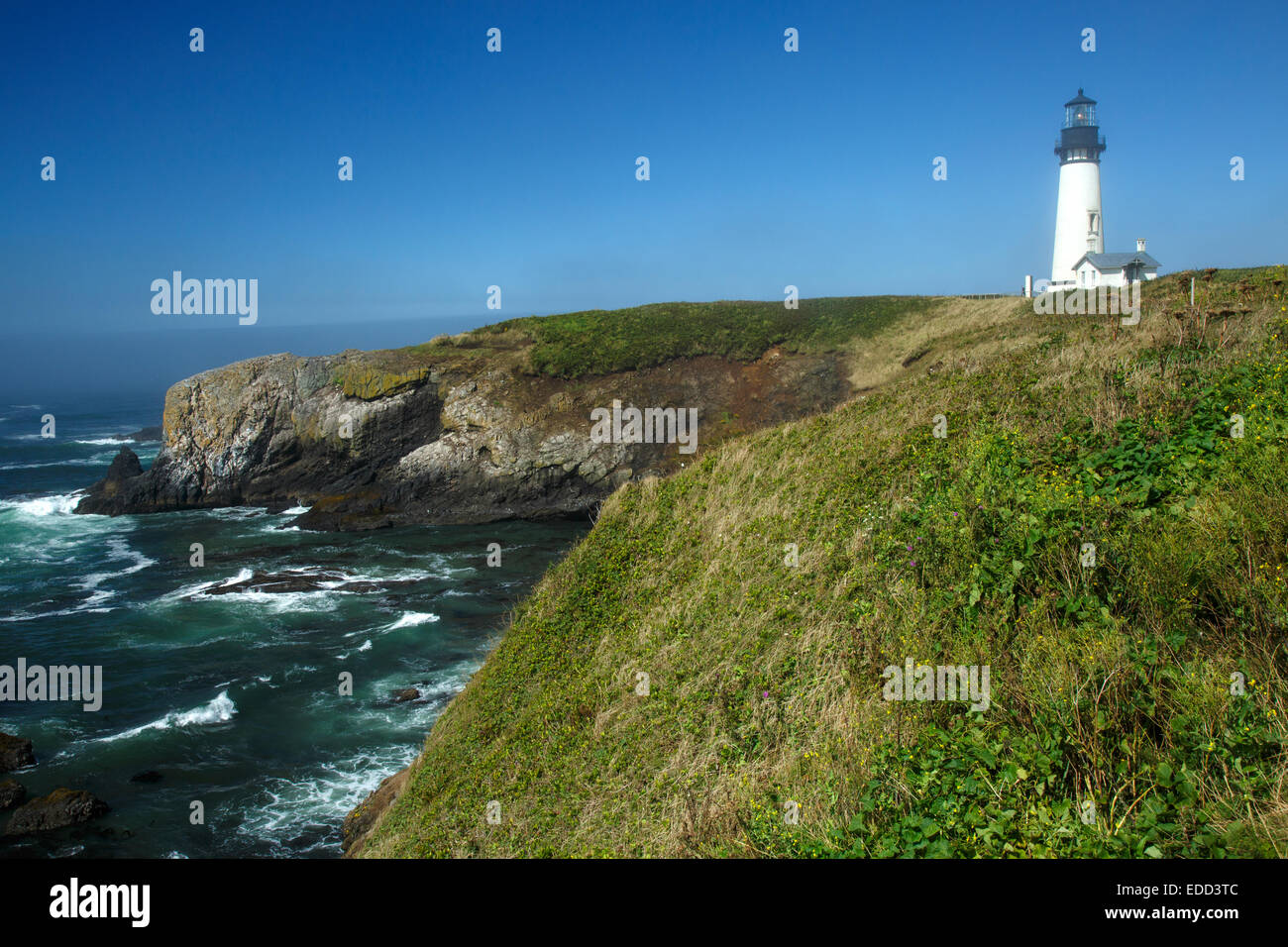 Yaquina Head Lighthouse an der Küste Oregons Stockfoto