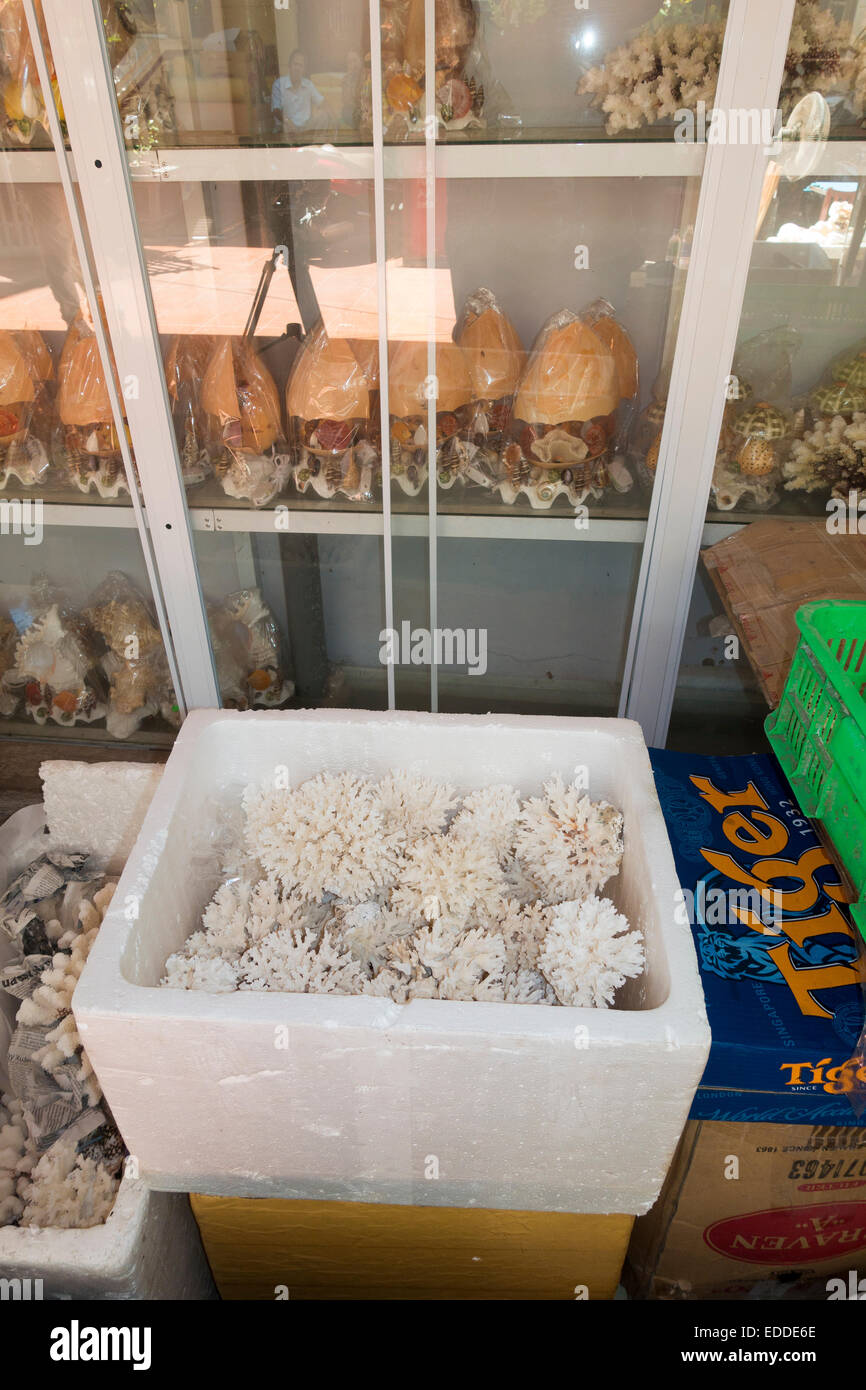 Bereit für den Versand in Styropor-Box, Fabrik für die Herstellung von Schmuck und Dekoration von teilweise geschützten Arten von Korallen Korallen Stockfoto