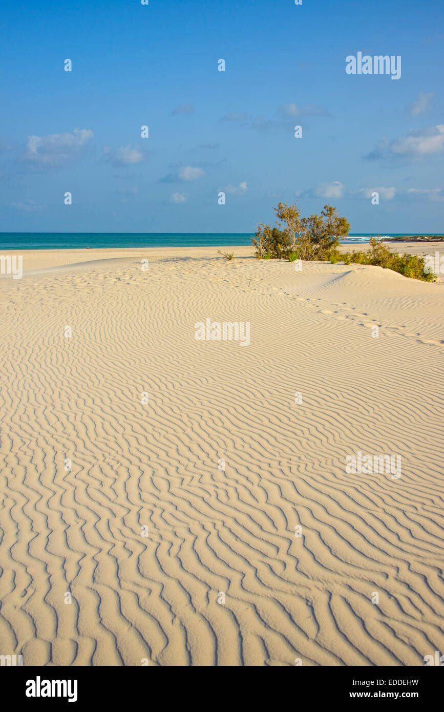 Amak Strand, Insel Sokotra, Jemen Stockfoto