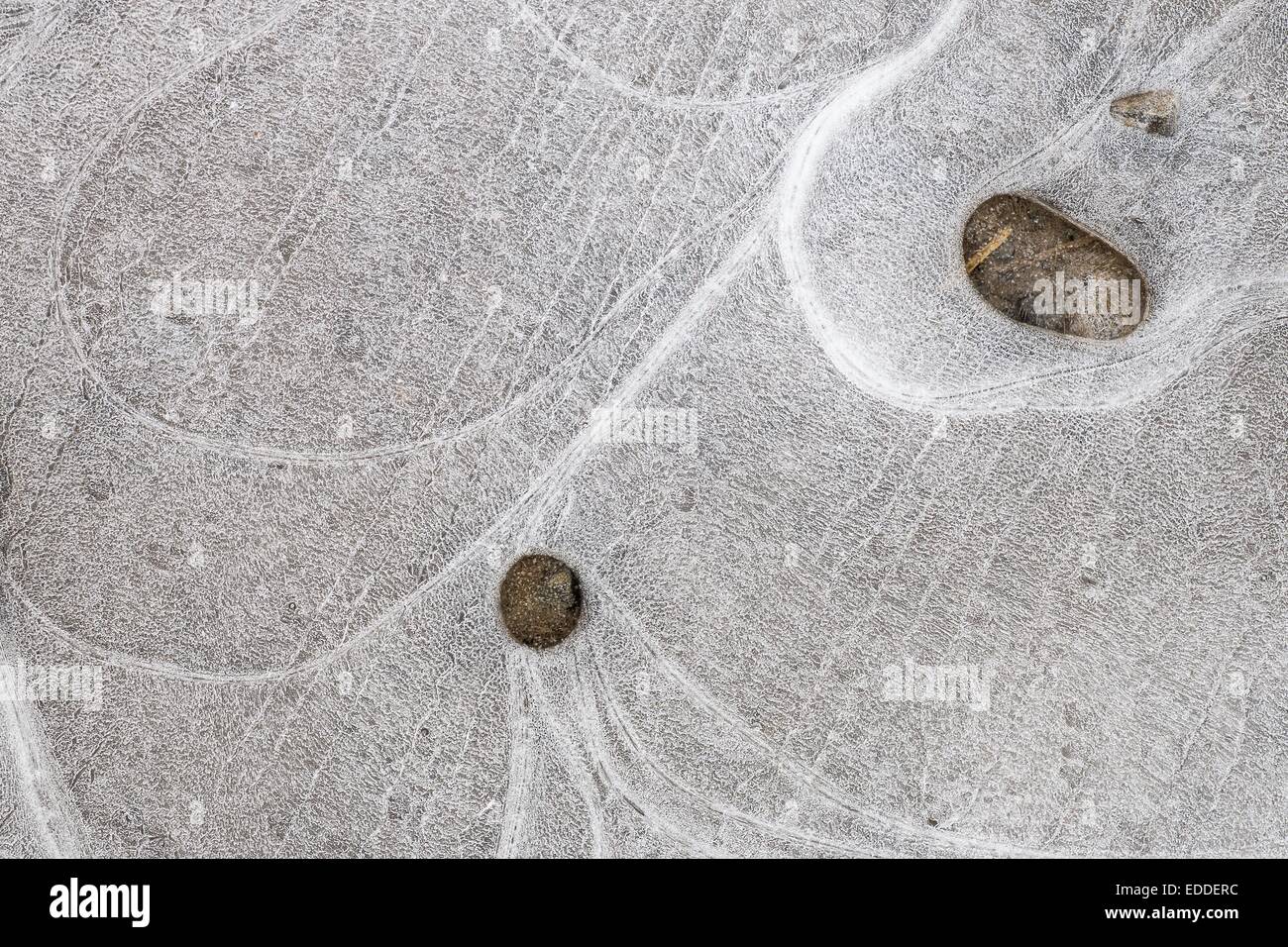 Eis-Muster in einer Pfütze, Hessen, Deutschland Stockfoto