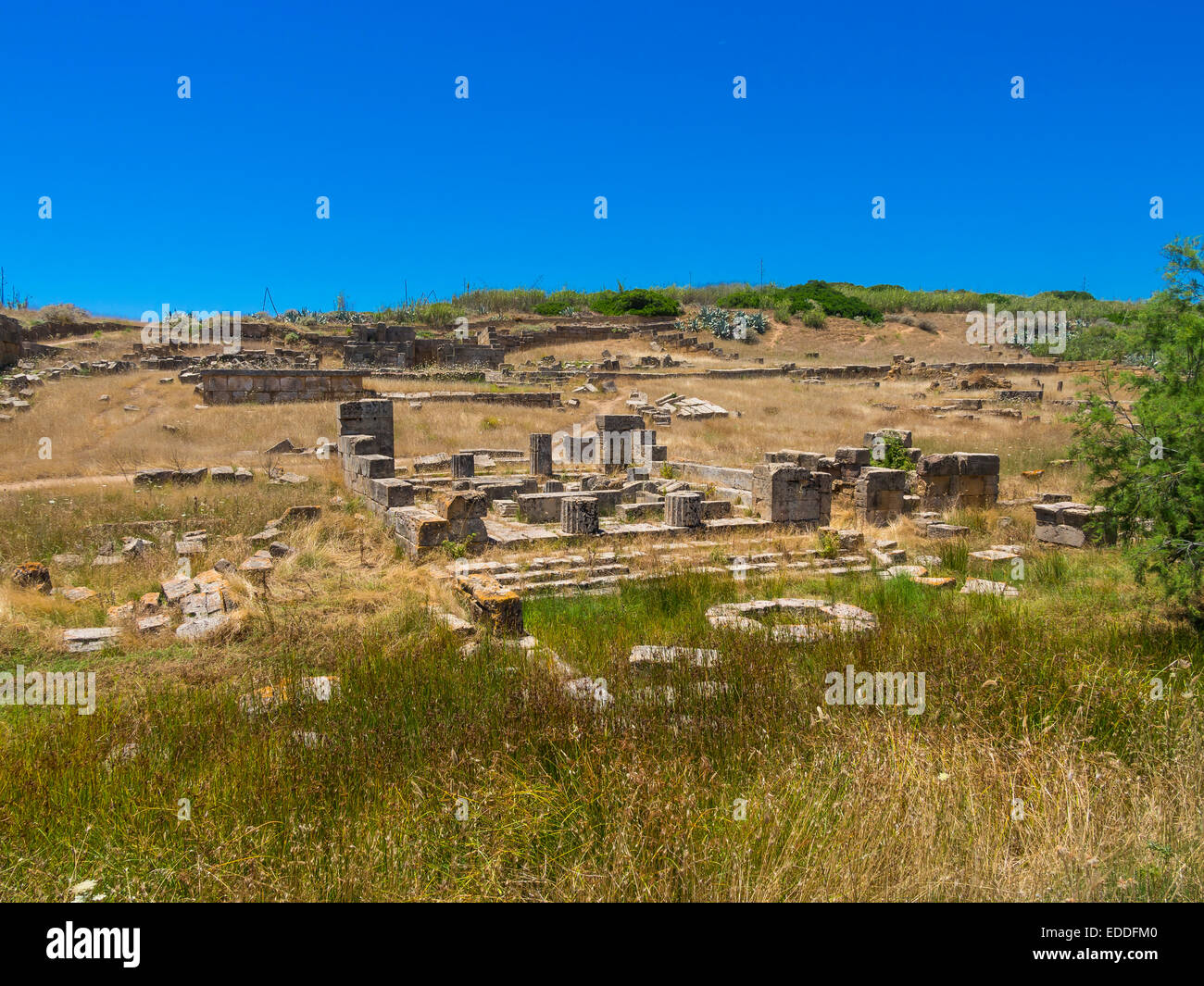 Italien, Sizilien, Selinunt, Ruinen der Tempel C und G Stockfoto