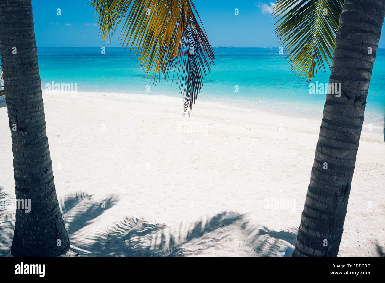 Malediven, Ari Atoll, Blick zum weißen Sandstrand Stockfoto