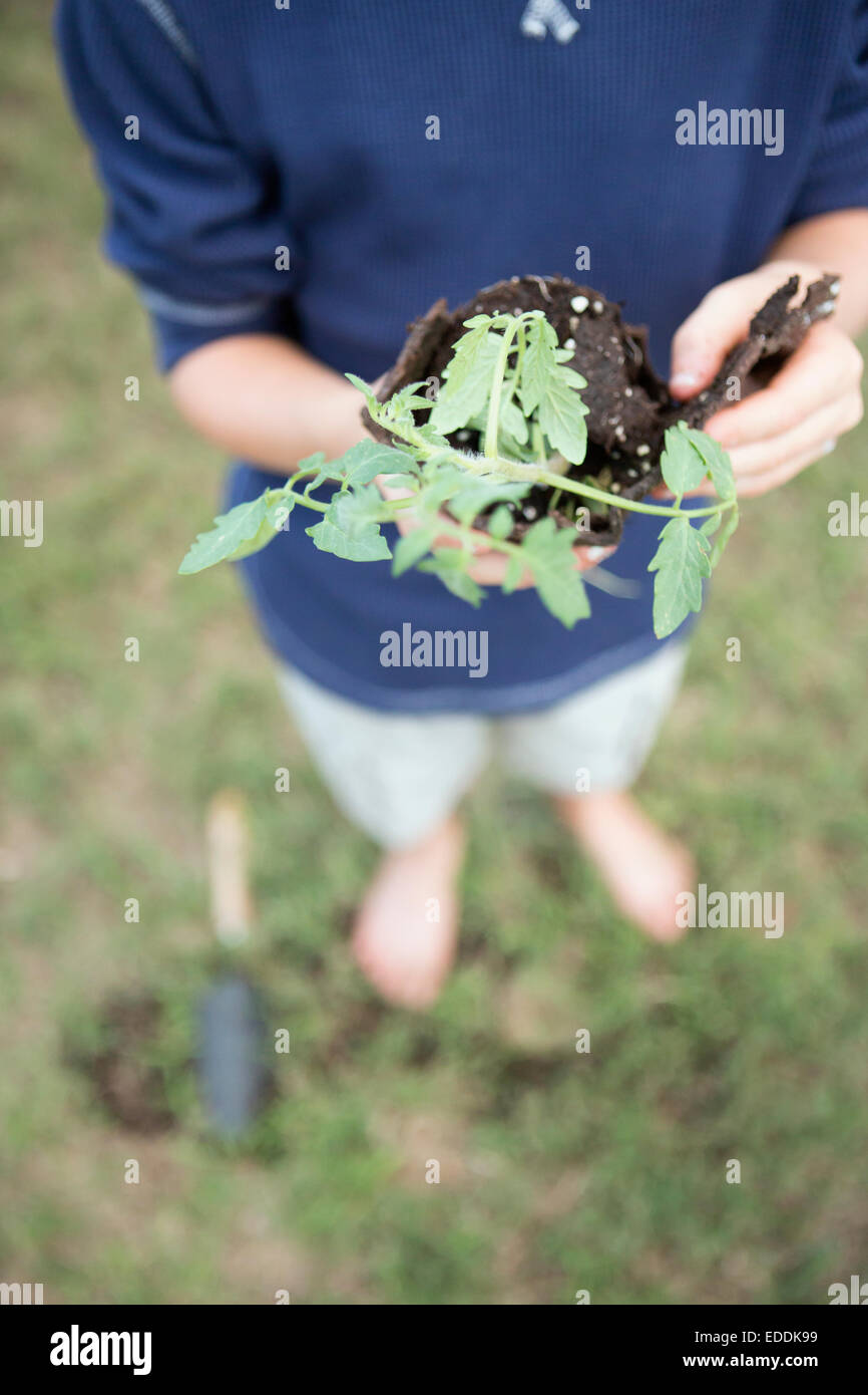 Ein Junge steht in einem Garten, halten eine Pflanze. Stockfoto