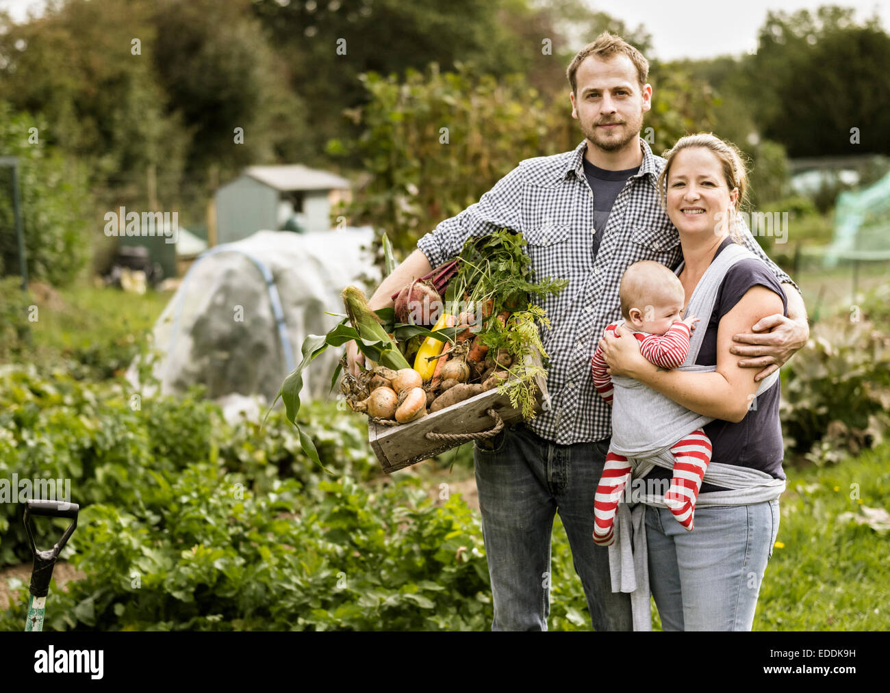 Junge Familie stehen in ihrer Zuteilung Lächeln auf den Lippen. Mann, der eine Kiste voller frisch geerntete Gemüse hält. Stockfoto