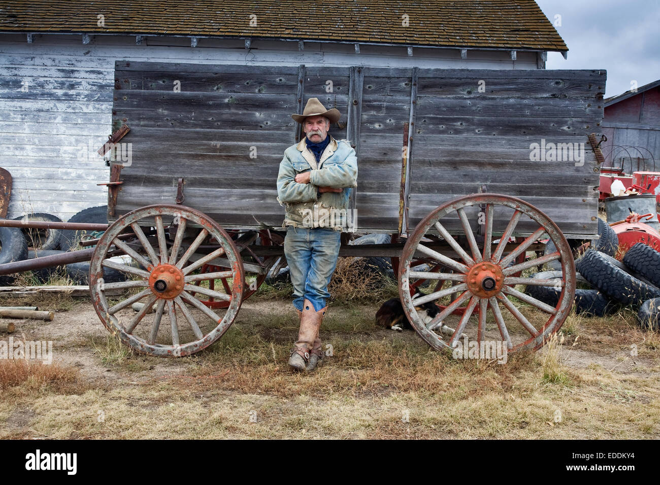Mann in Cowboy-Hut und Cowboystiefel an einem Holzwagen gelehnt. Stockfoto