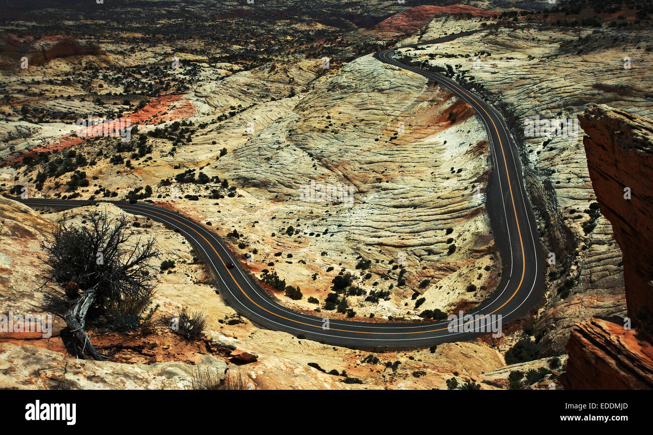 Blick von oben auf eine kurvenreiche Straße durch die Wüstenlandschaft von Utah. Stockfoto