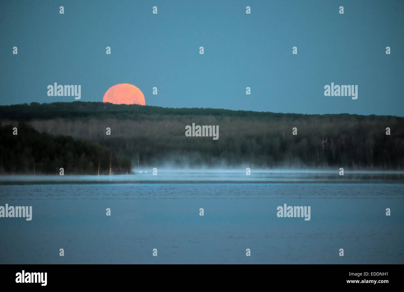 Ein roter Mond-Einstellung über einen See. Mondlicht. Stockfoto