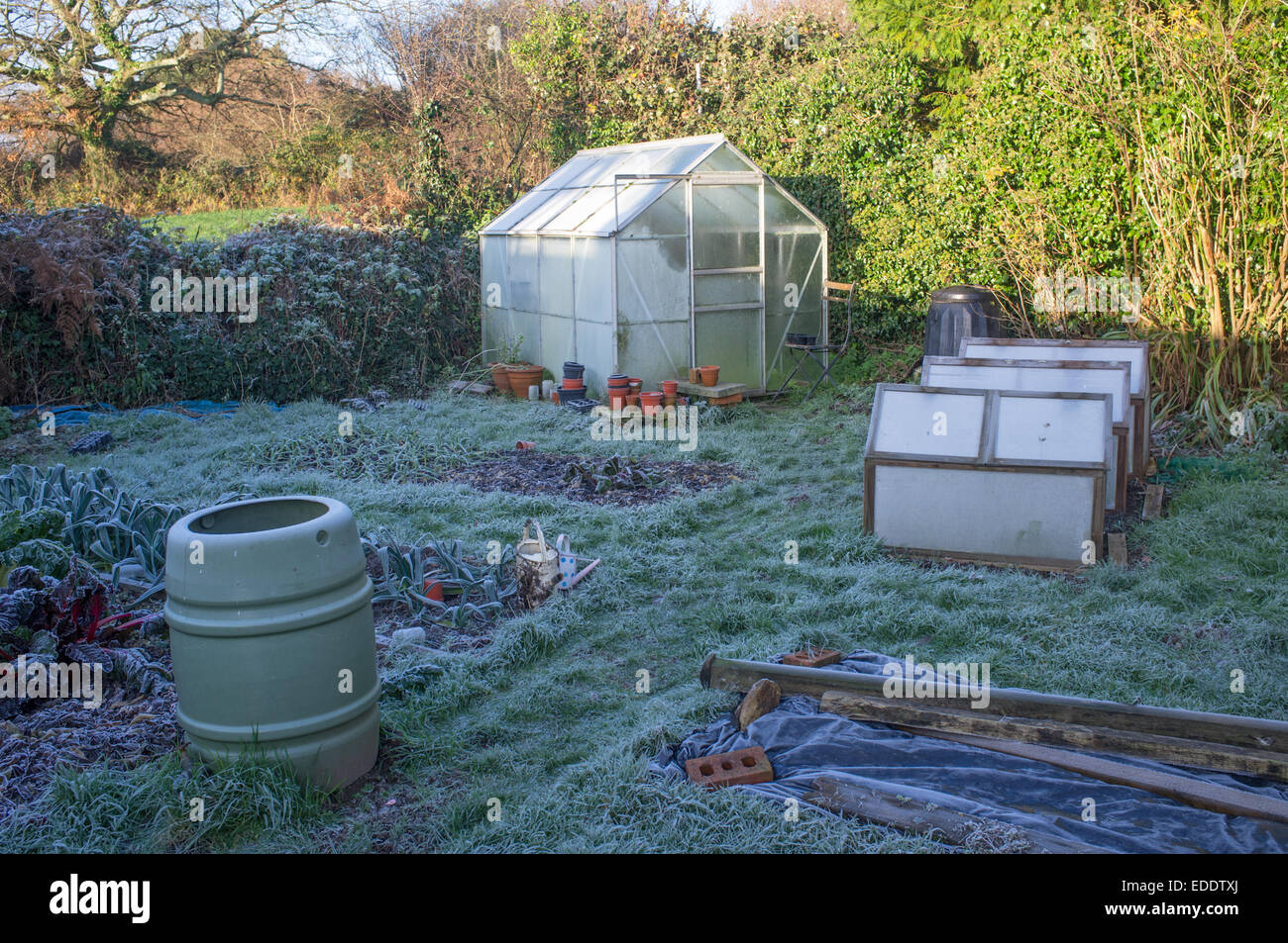 Frost bedeckt Gewächshaus und Garten im Winter auch Frühbeete und Kunststoffabdeckung Boden aus überschüssigen Regen Stockfoto