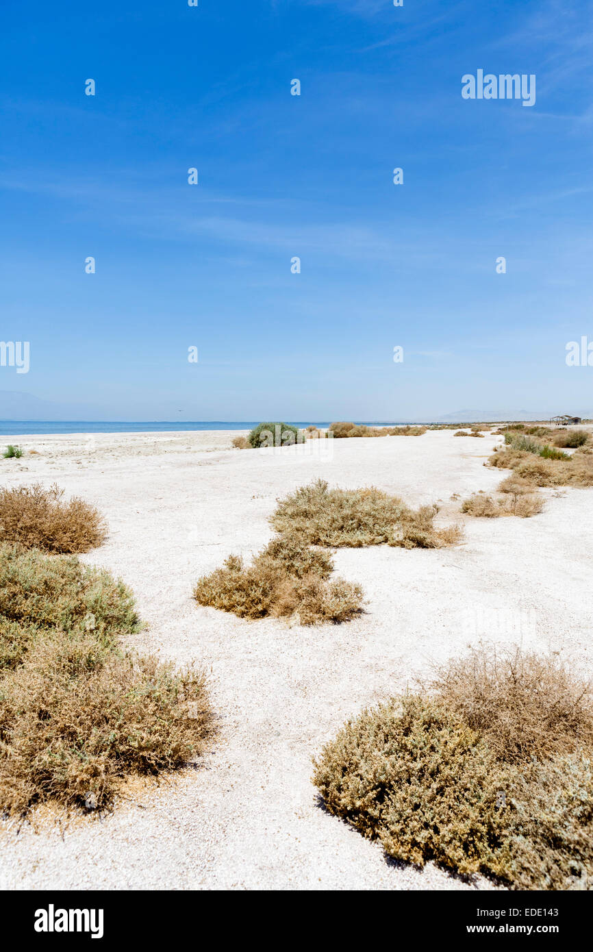 Salton Sea State Recreation Area, Imperial County, Kalifornien, USA Stockfoto