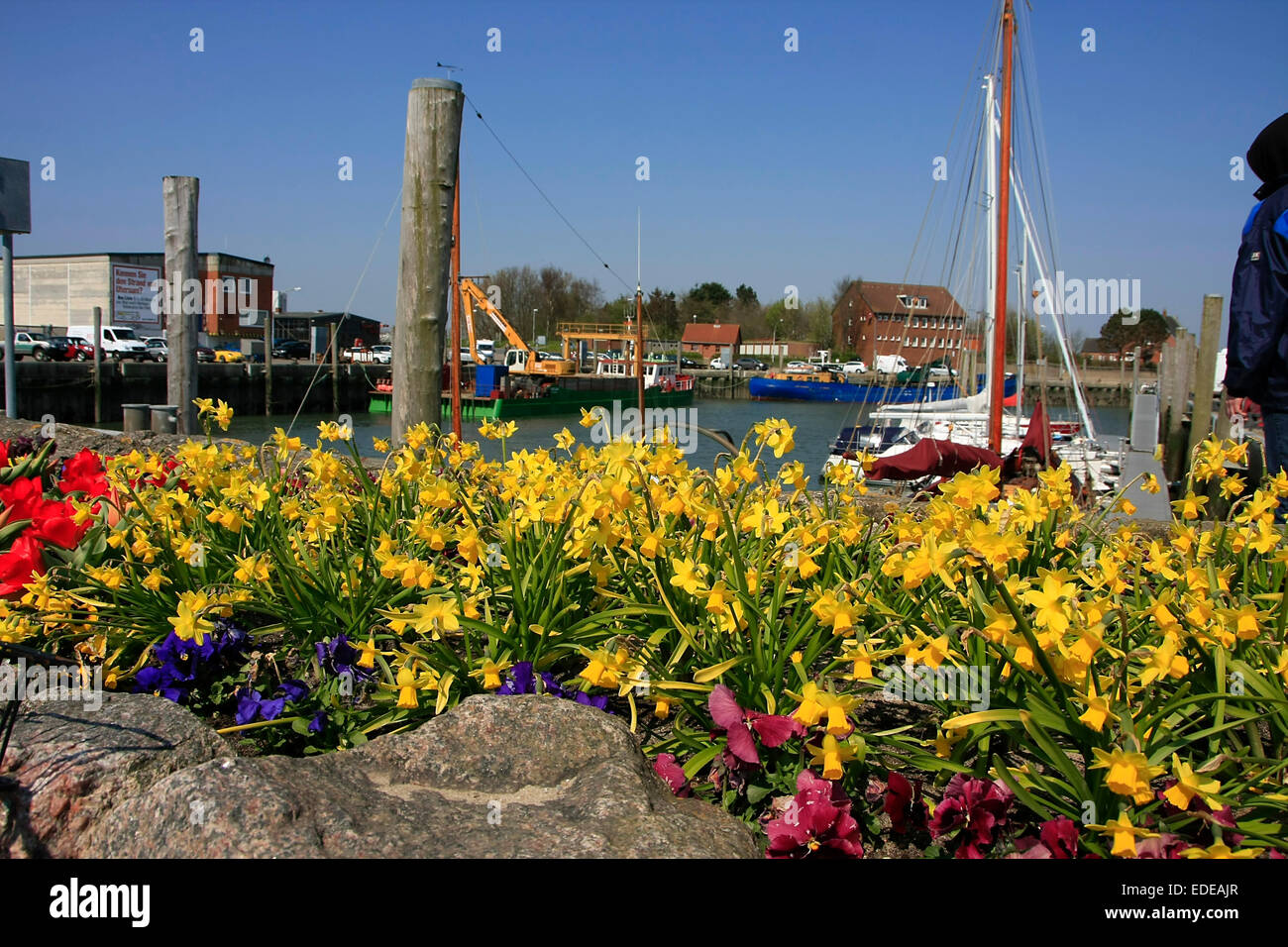 Hafen von Wyk auf Föhr. Wyk auf Föhr ist eine Stadt auf Föhr Insel in den Bezirk von Nordfriesland, in Schleswig-Holstein. Foto: Klaus Nowottnick Datum: 20. April 2014 Stockfoto