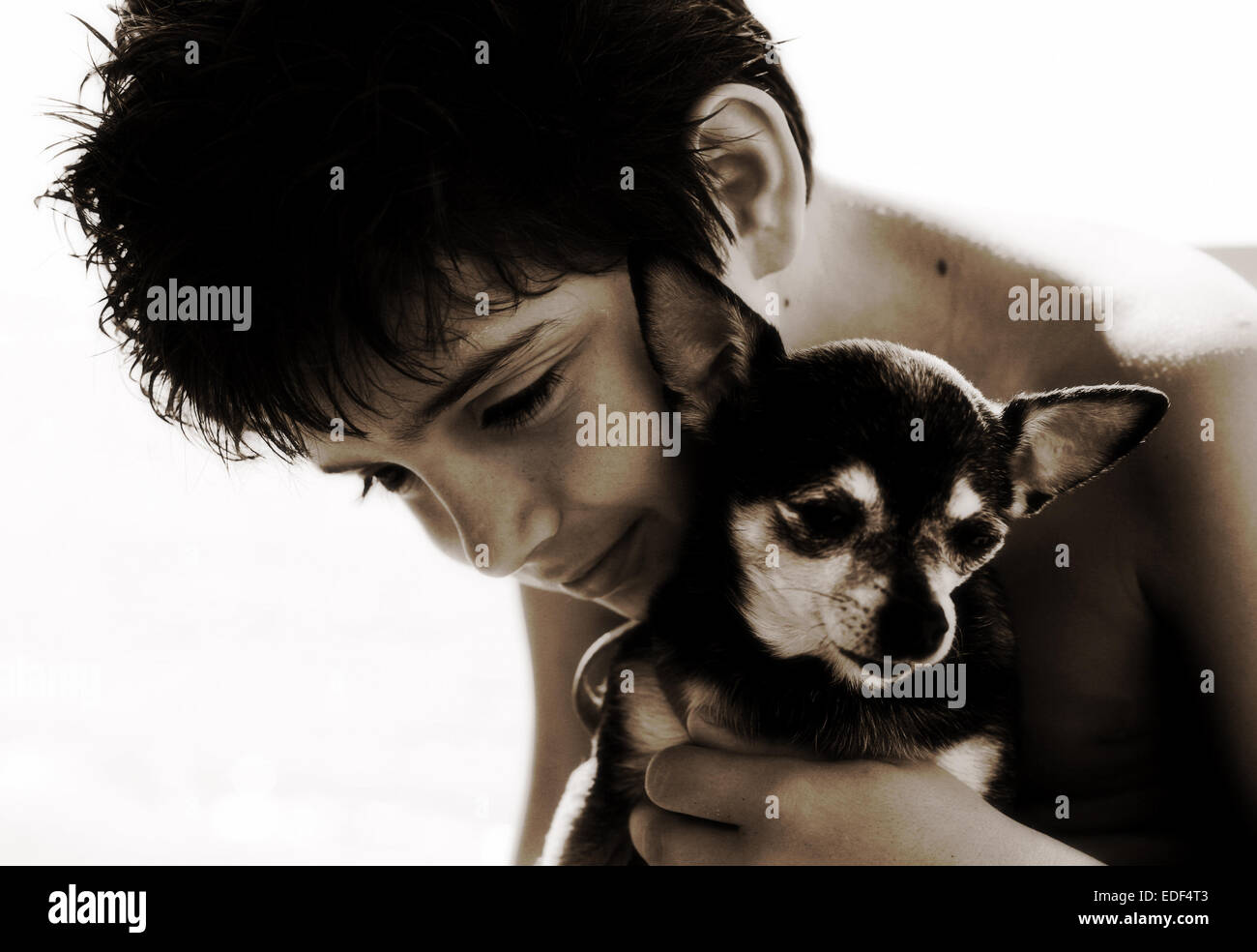 ein Junge geben seine Liebe zu einem Hund Stockfoto