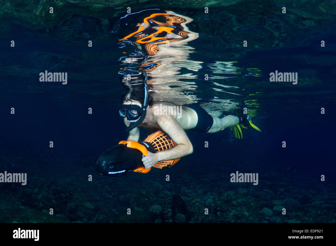 Freediver schwimmt, Unterwasser Scooter, Nachttauchen im Roten Meer, Ägypten Stockfoto
