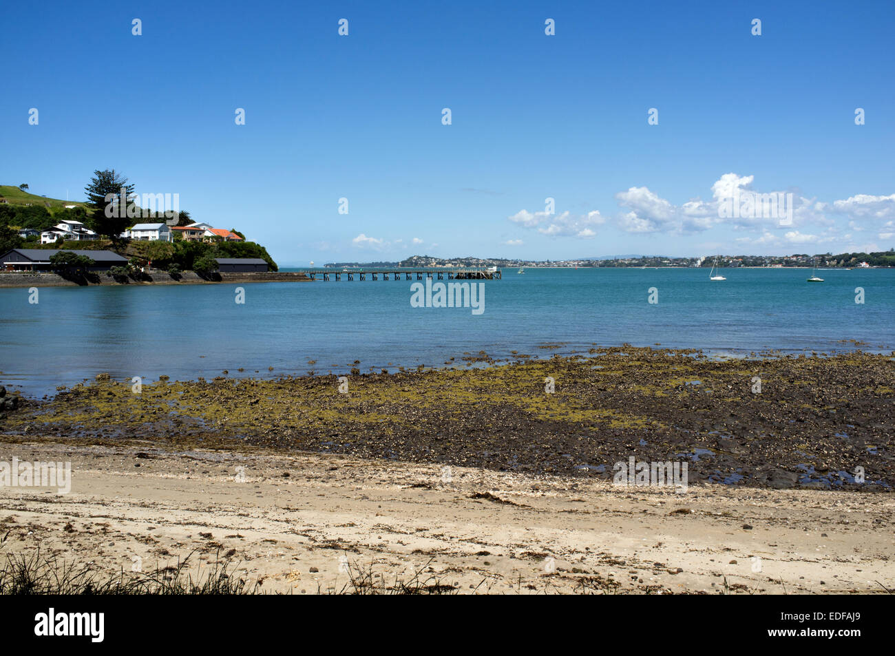 Blick auf Torpedo-Bucht in Devonport, Auckland, Neuseeland Stockfoto