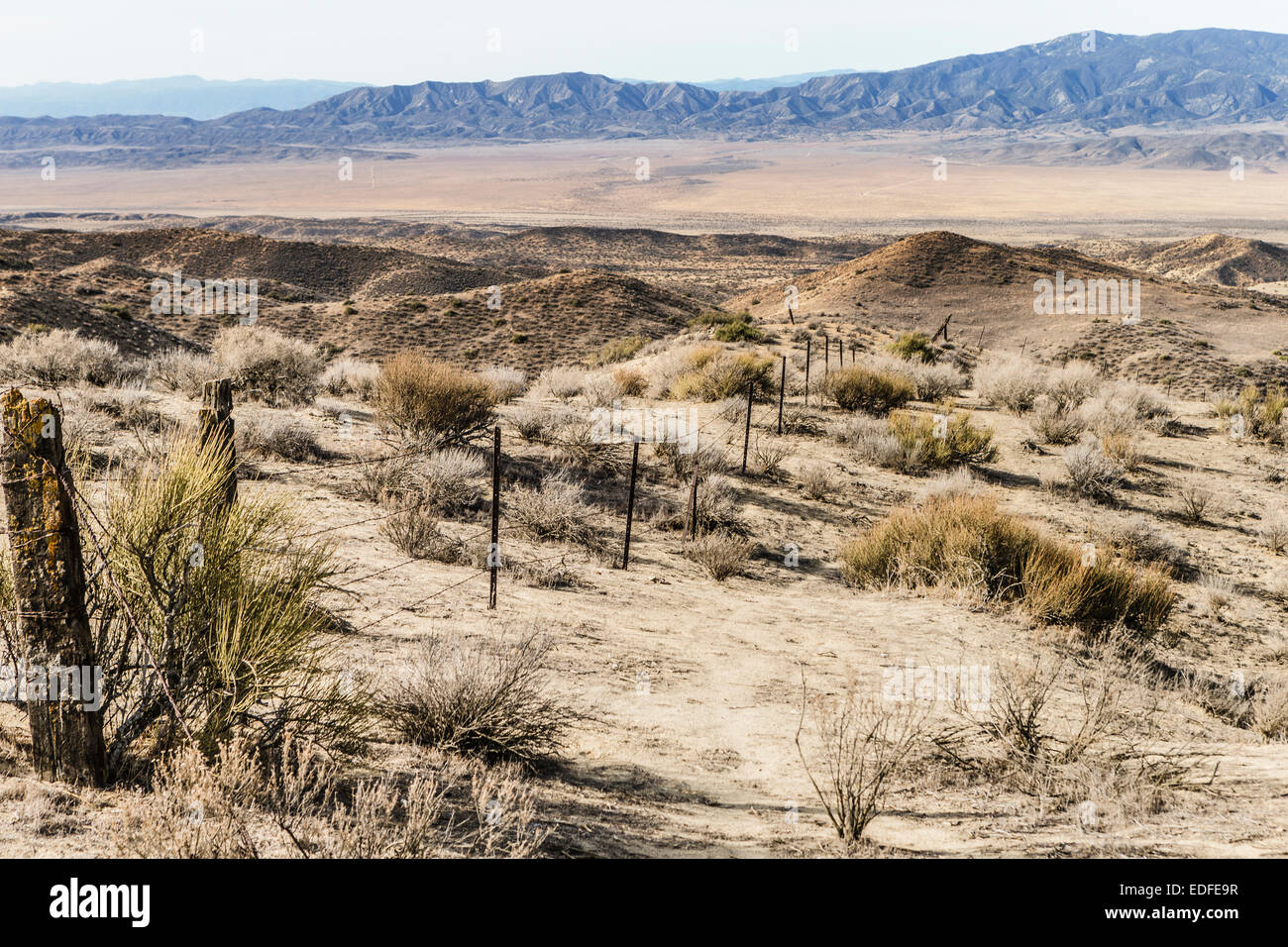 Panoramablick auf die Caliente Range und die Carrizo Plain. Stockfoto