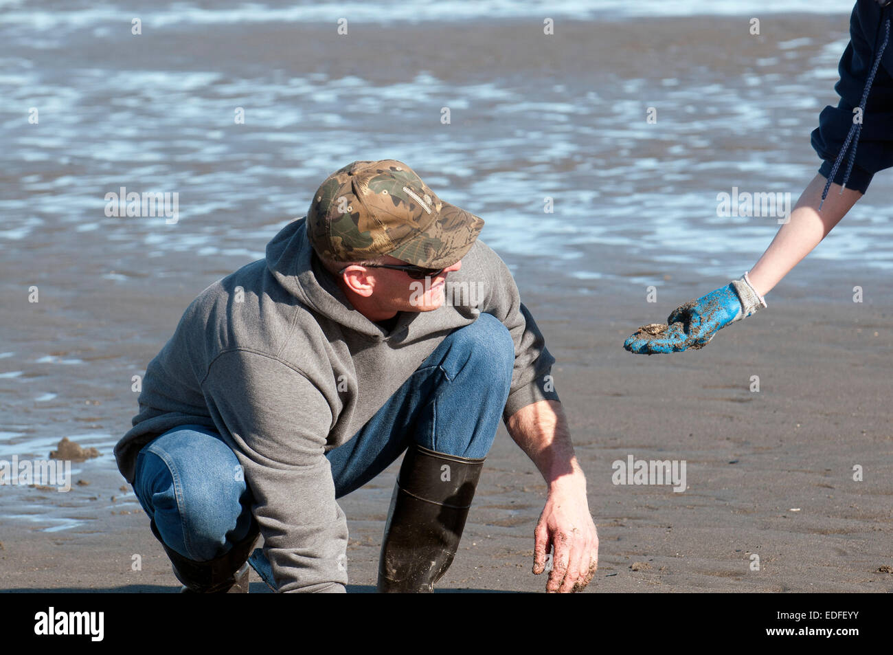 Clamming am Clam Gulch auf der Kenai-Halbinsel Stockfoto