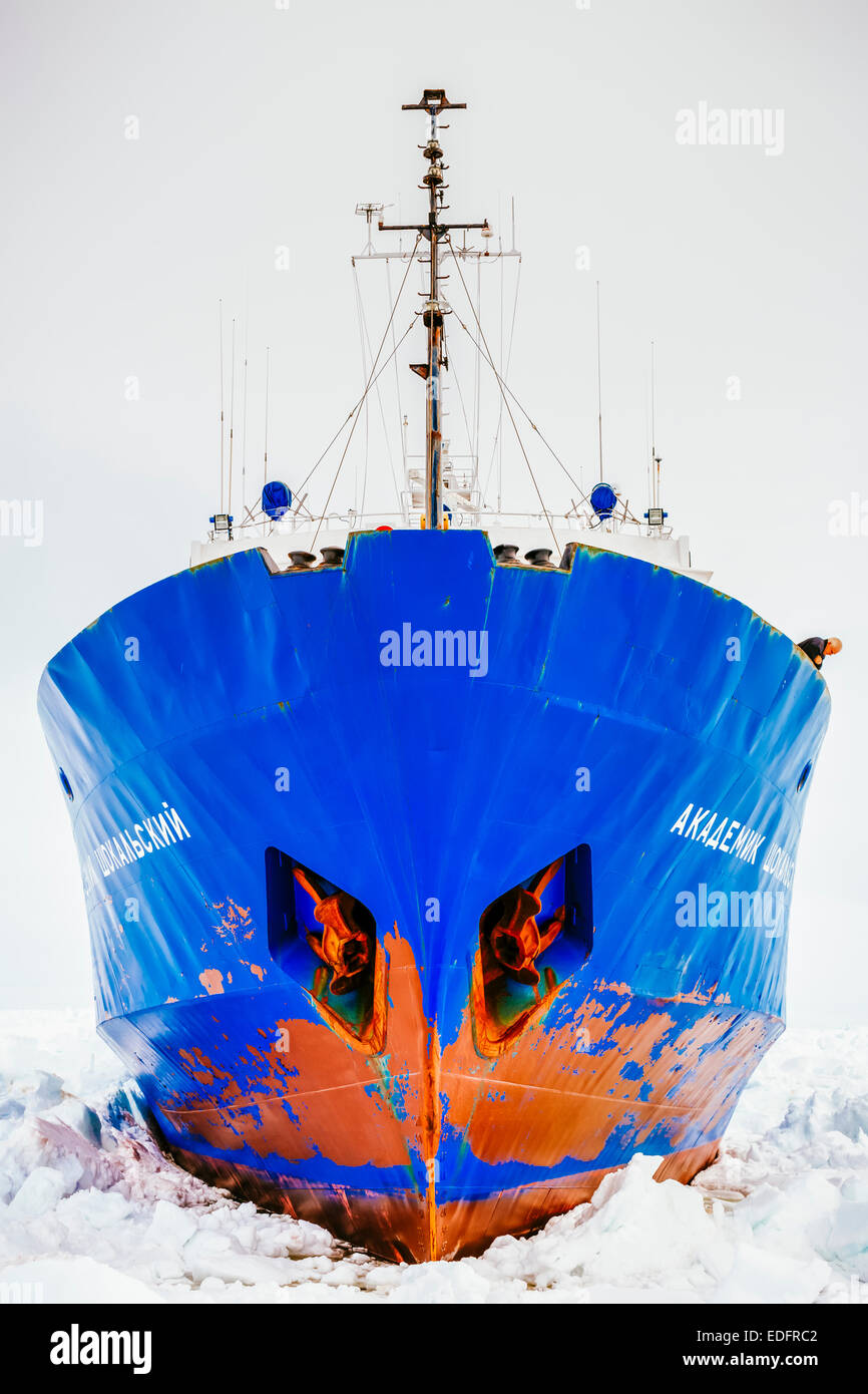 Die Akademik Shokalskiy bedrängt durch Packeis. Stockfoto