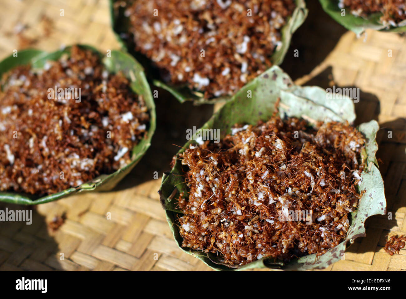 Rote Ameisen (Chapura) verkauft als Snack im Tokapal Markt, Chhattisgarh, Madyha Pradesh, Indien Stockfoto