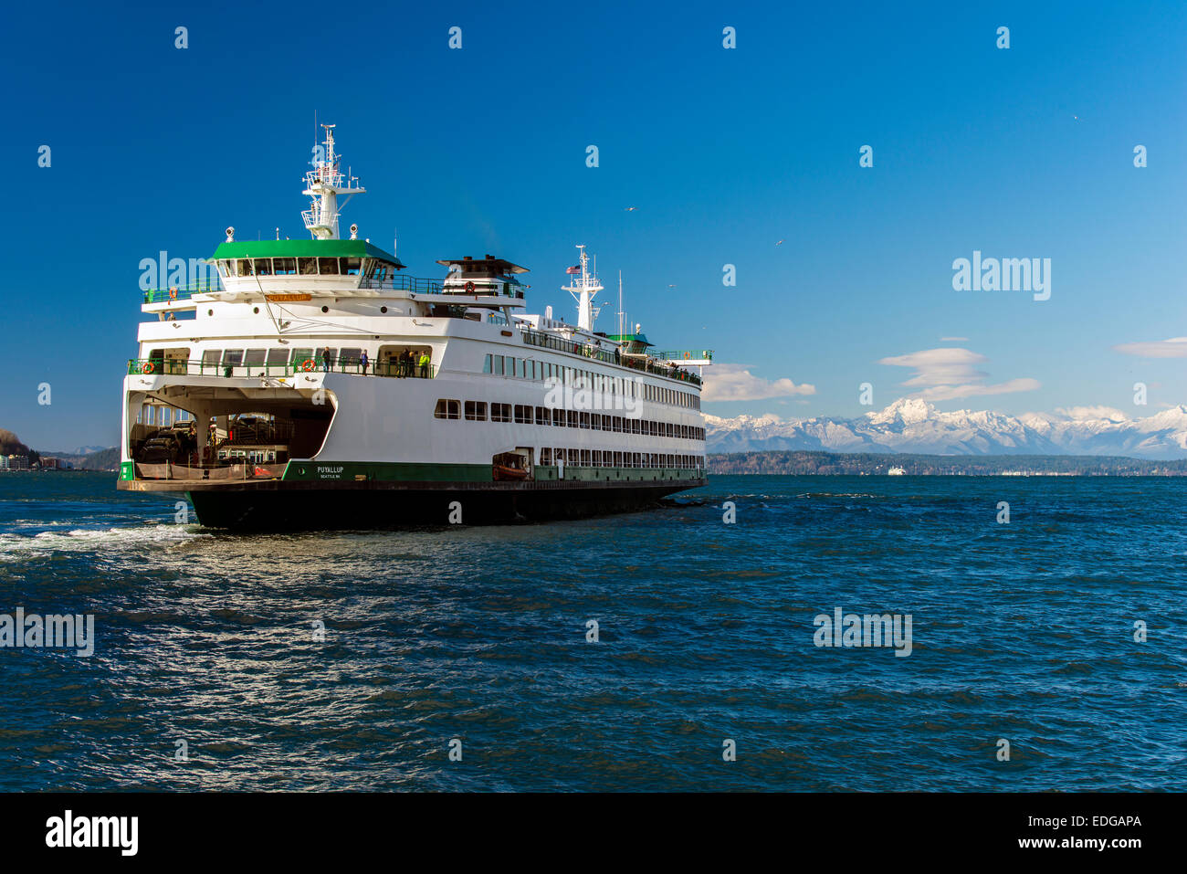 Washington State Ferry mit schneebedeckten Bergen der Olympic-Halbinsel im Hintergrund, Seattle, Washington, USA Stockfoto