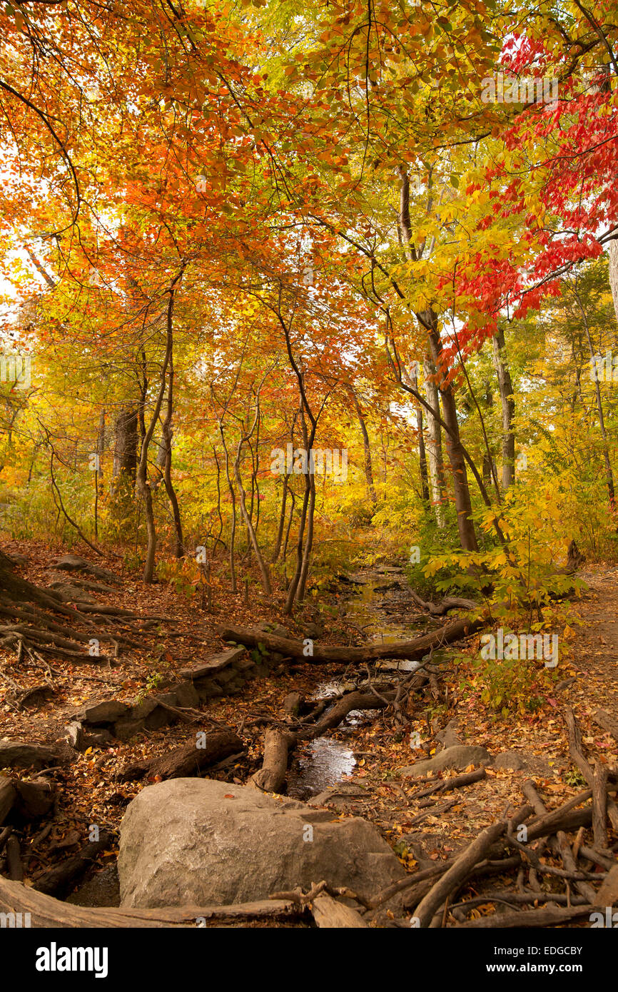 Schönen Herbsttag im Central Park. Stockfoto