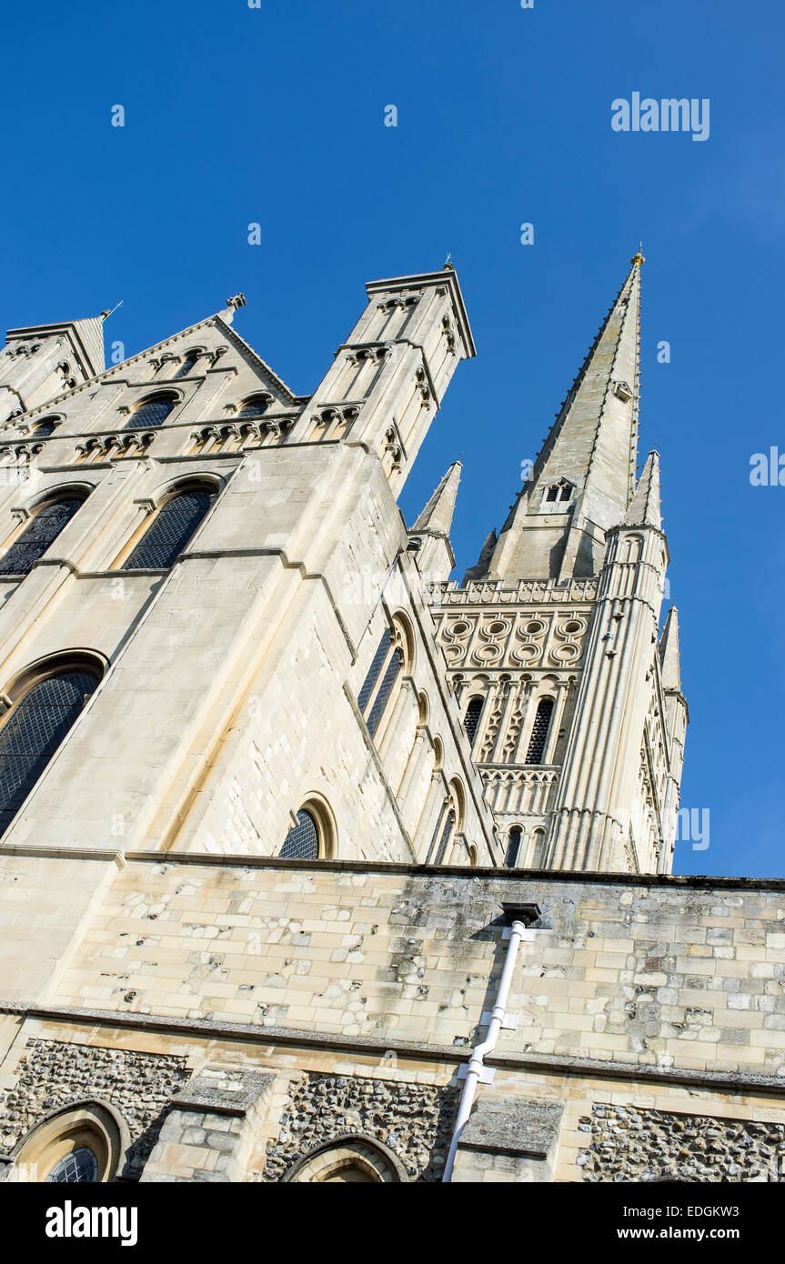 Norwich Kathedrale Norfolk England Stockfoto