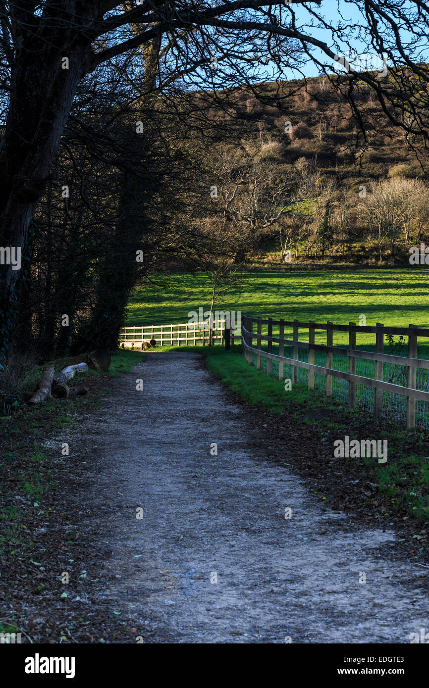 Einen Weg entlang einer Allee Spur mit einem hölzernen Zaun Stockfoto