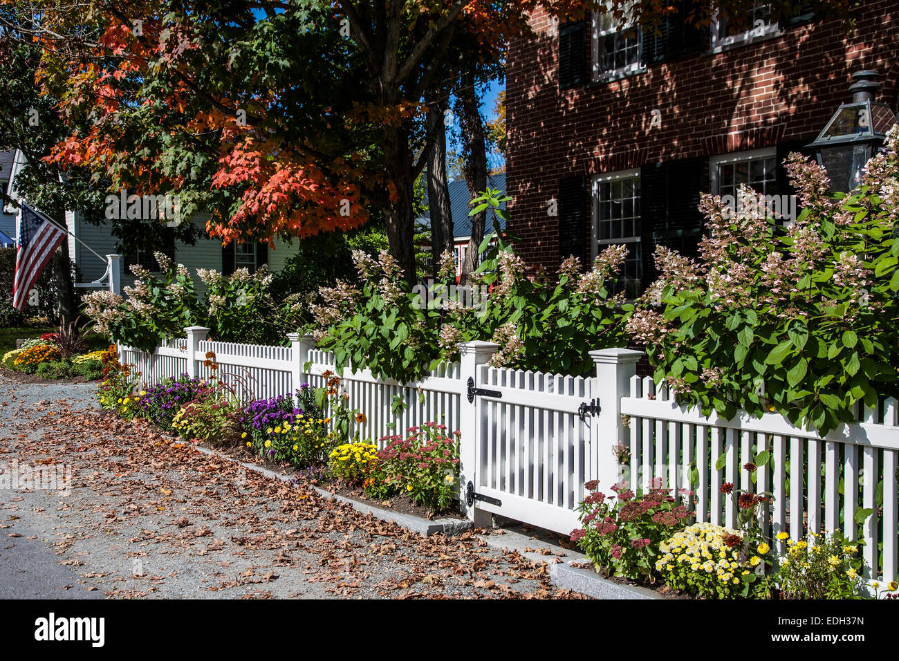 New England Dorf Fall White Pfostenzaun Tor und Herbstblumen in Grafton, Vermont, USA, Herbst Pastellgarten Grenze Pflanzen Stockfoto