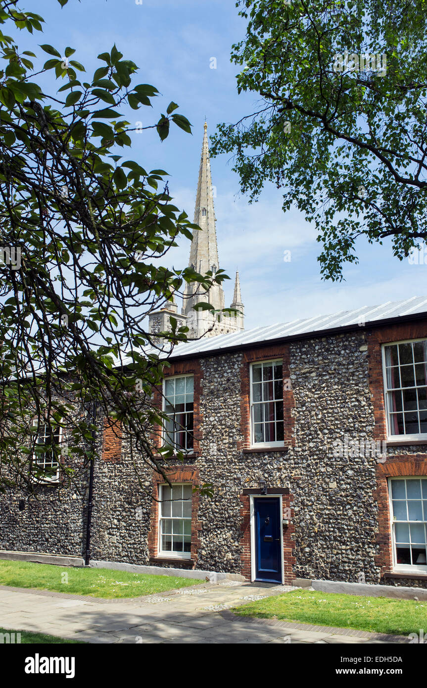 Turm der Kathedrale von Norwich und Häuser in der Kathedrale in der Nähe Stockfoto