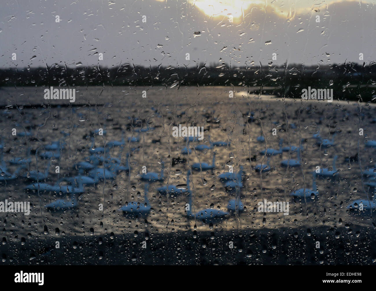 Regentropfen auf Glas an Martin Mere ein Touristenort.  Konzept der "Wet Feiertag" Stockfoto