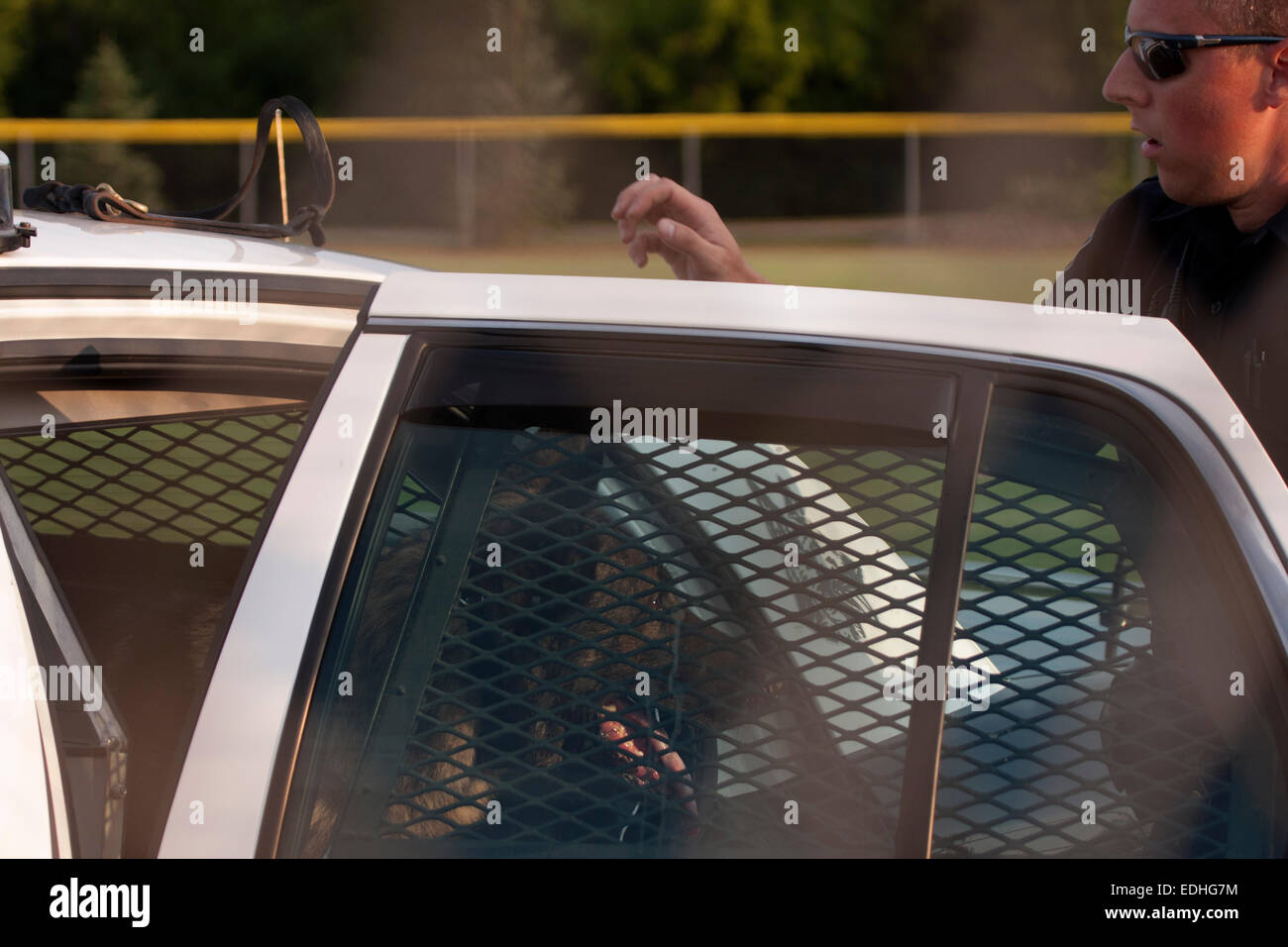 Ein k-9-Polizist mit seinem k-9-Hund verlassen des Fahrzeugs Stockfoto