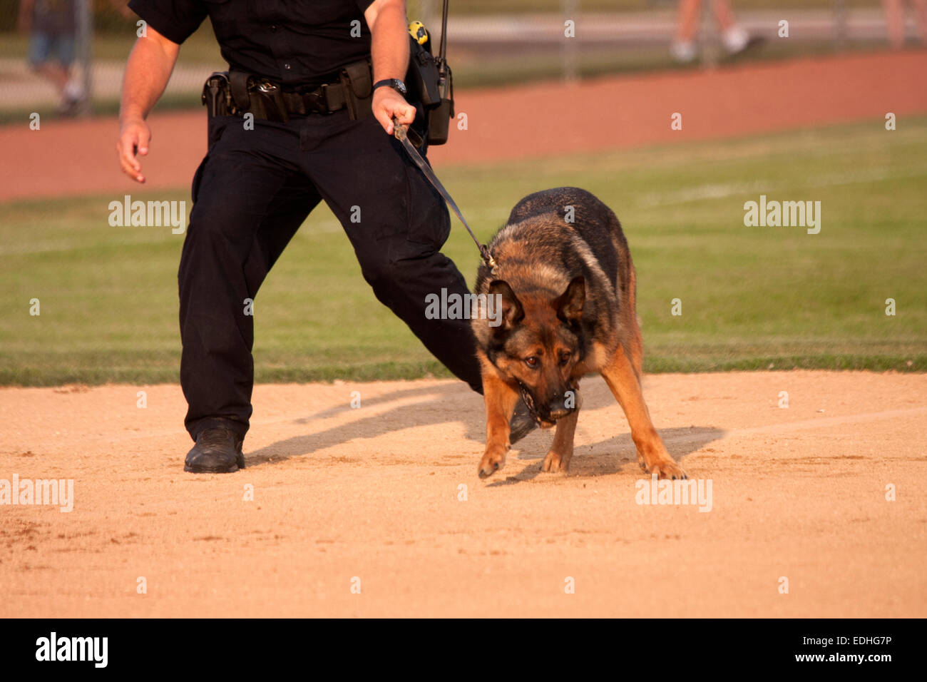 Greenfield Wisconsin Polizei k-9 und Polizist Stockfoto