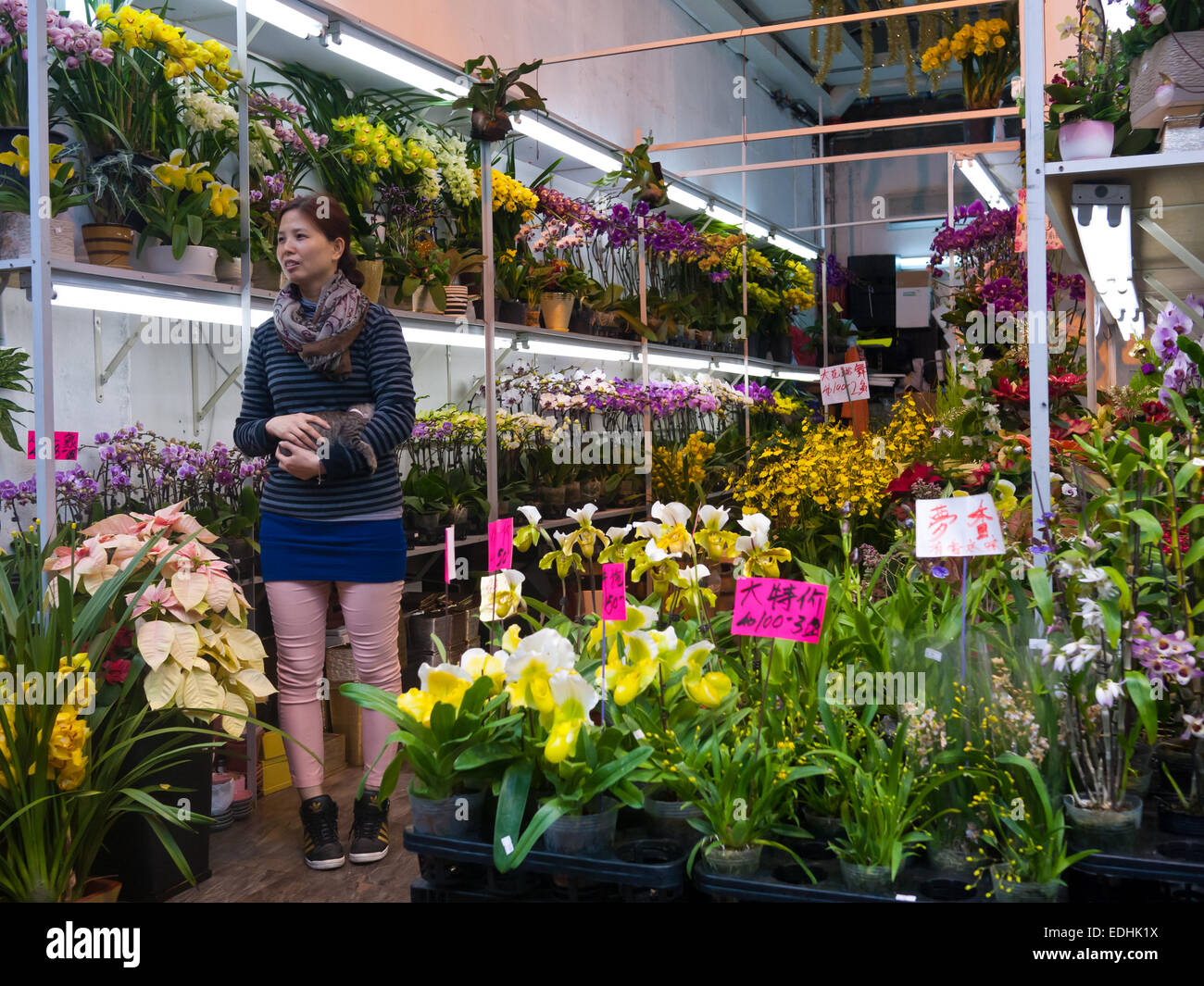 Hongkong - Blumenmarkt in Mong Kok Stockfoto