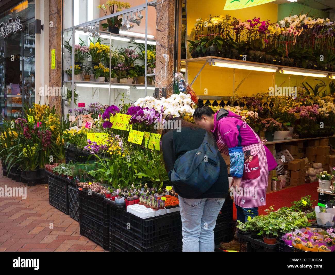 Hong Kong - Flowe Market in Mong Kok Prince Edward Stockfoto
