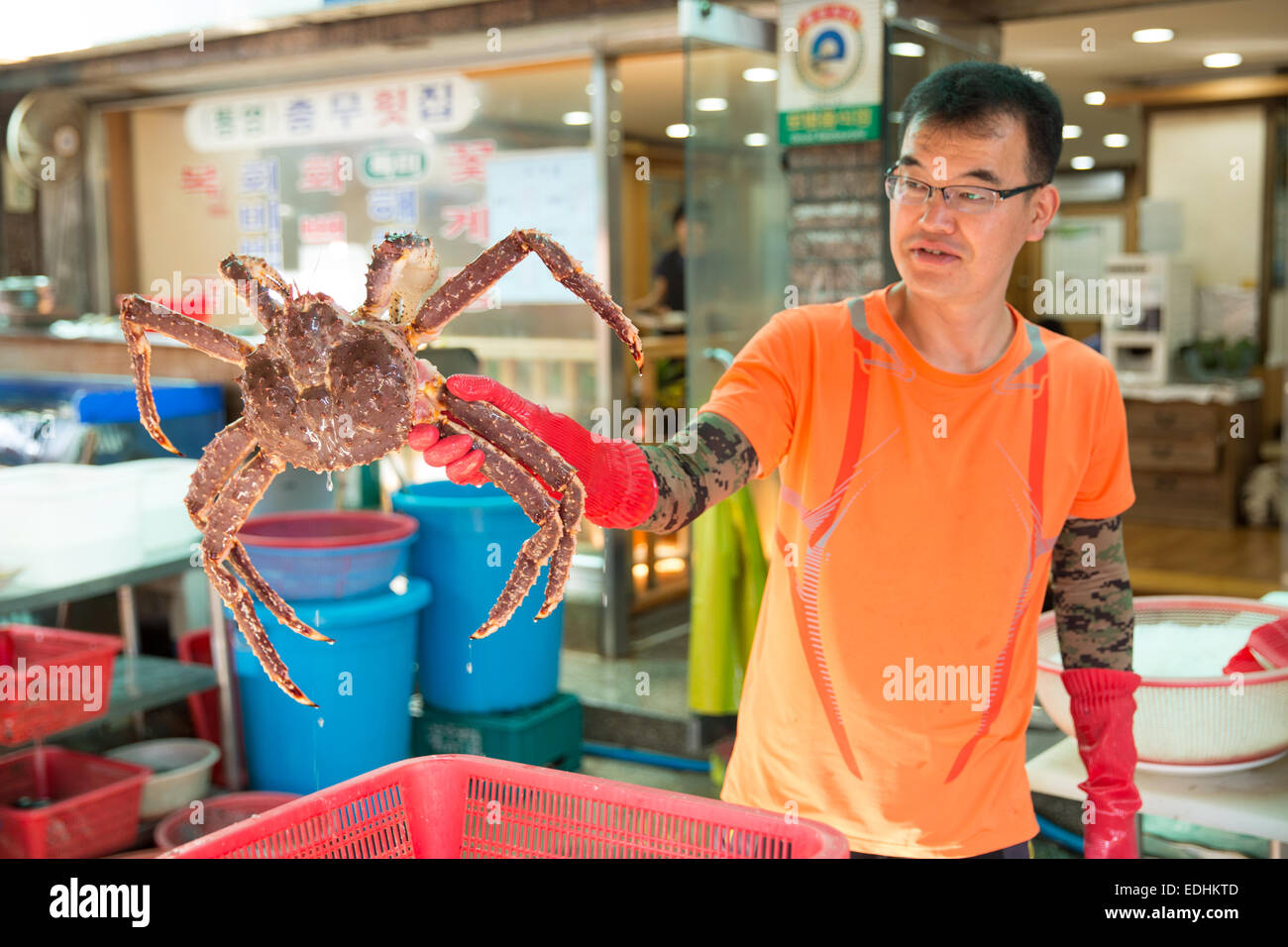 Mann hält große Krabben am Jagalchi-Fischmarkt, Busan, Republik Korea Stockfoto