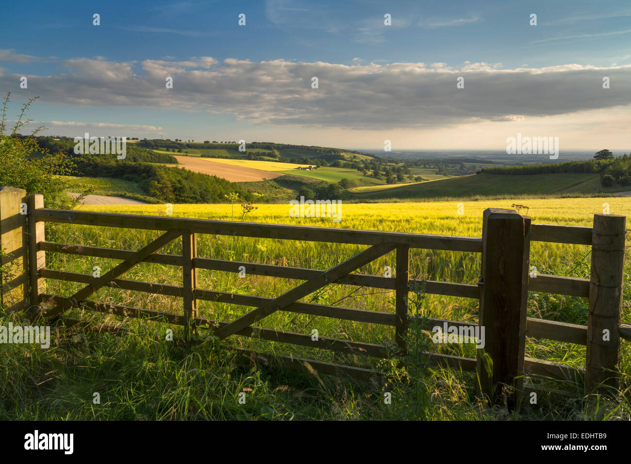 Das Vale of York von Thixendale auf die Yorkshire Wolds. Stockfoto