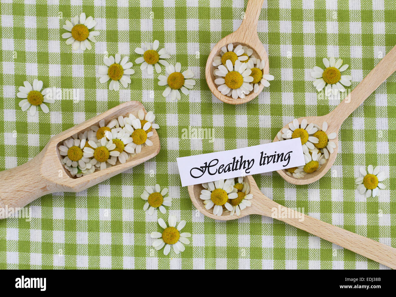 Gesundes Wohnen-Karte mit Kamillenblüten auf Holzlöffel auf kariertem Stoff Stockfoto