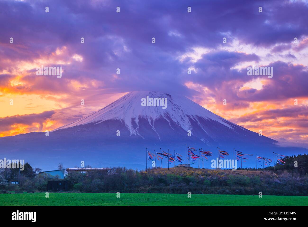 Sunrise Mt. Fuji und Karpfen Streamer, Shizuoka, Japan Stockfoto