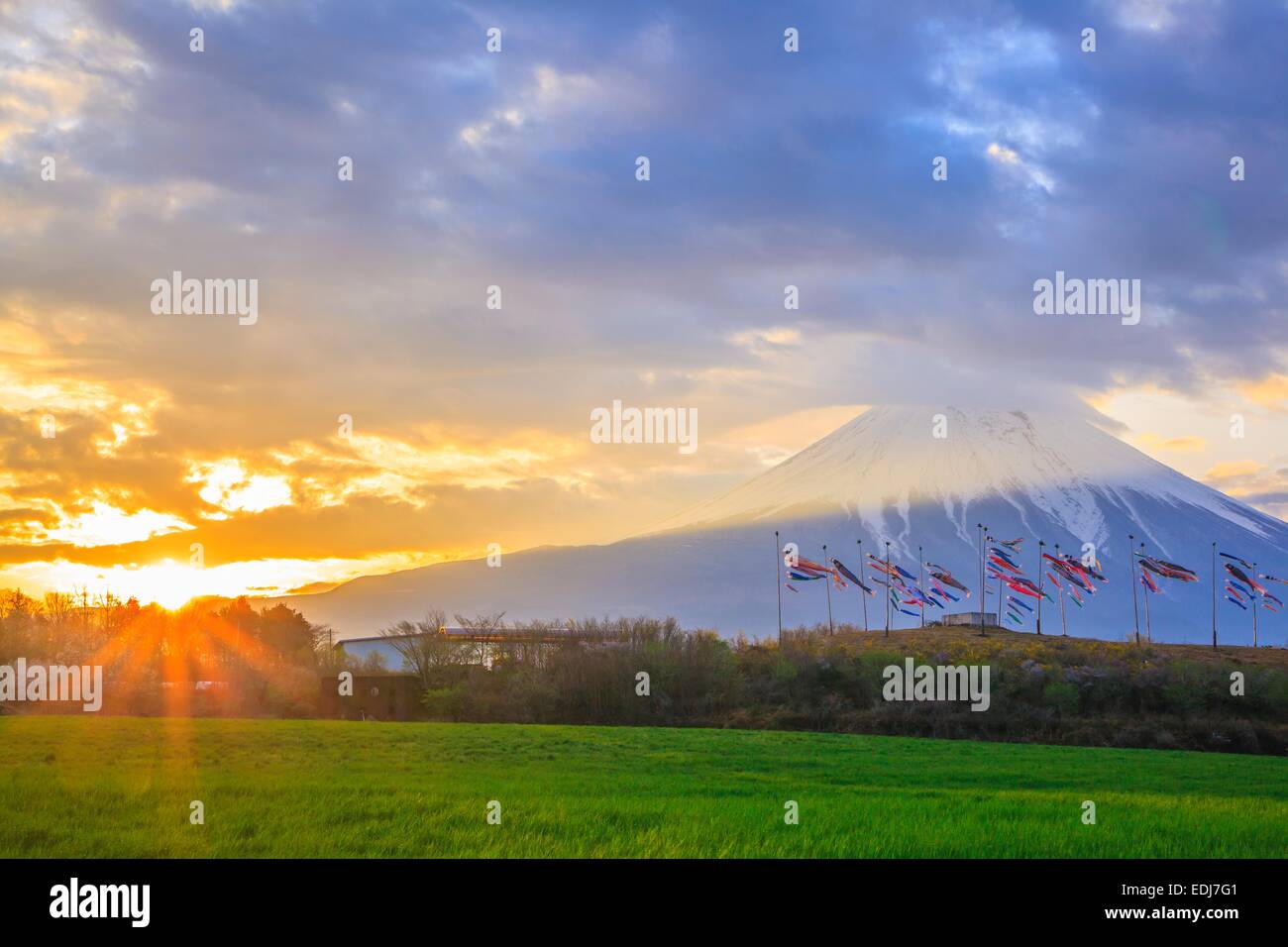 Sunrise Mt. Fuji und Karpfen Streamer, Shizuoka, Japan Stockfoto