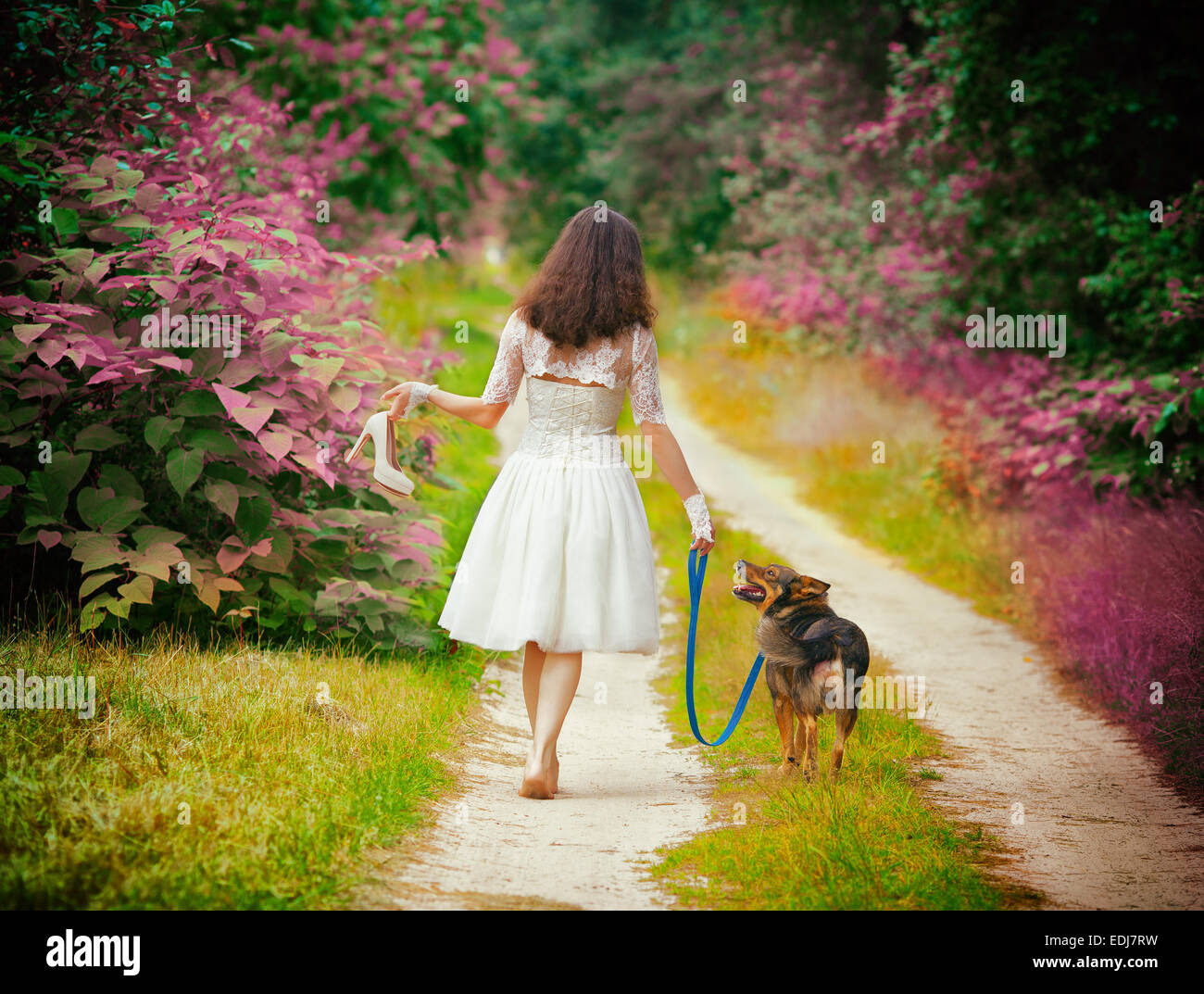 Junge Braut Hochzeit Kleid barfuß mit Hund auf der Landstraße zurück zu Kamera. Frau bringen Hochzeitsschuhe. Stockfoto