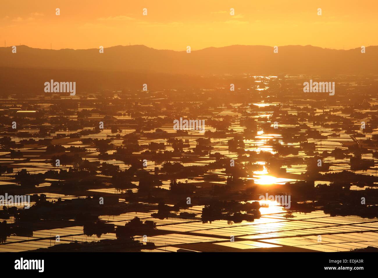 Sonnenuntergang auf überfluteten Reisfeld, Sankyoson, Toyama, Japan Stockfoto